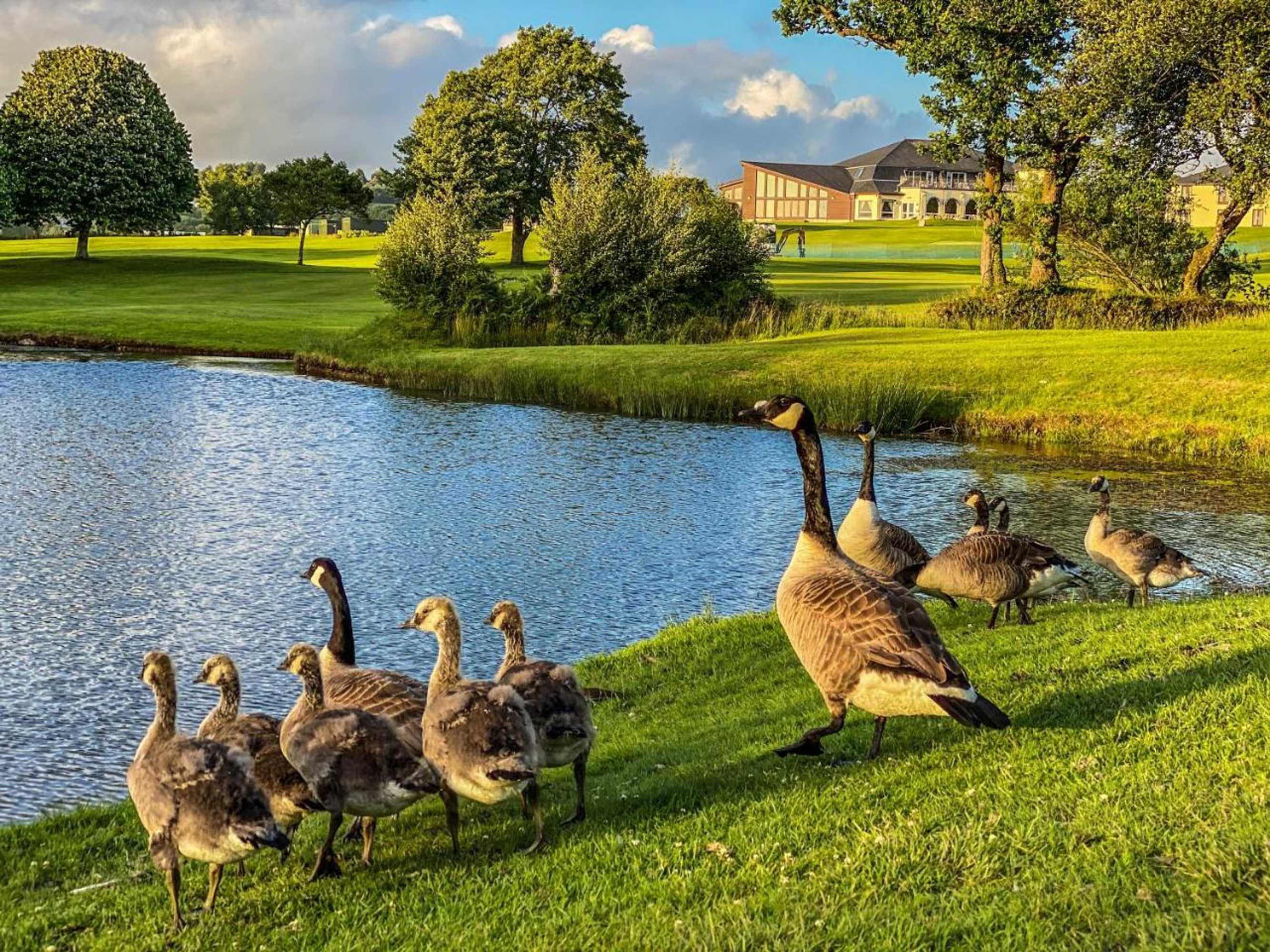Gift card for Lanhydrock Hotel & Golf Club