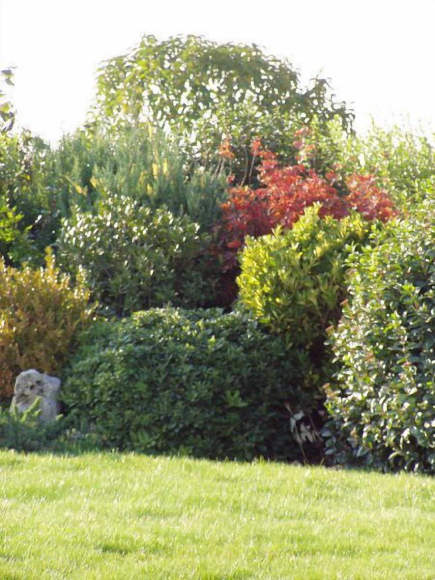 Gift card for Alla Corte Del Picchio