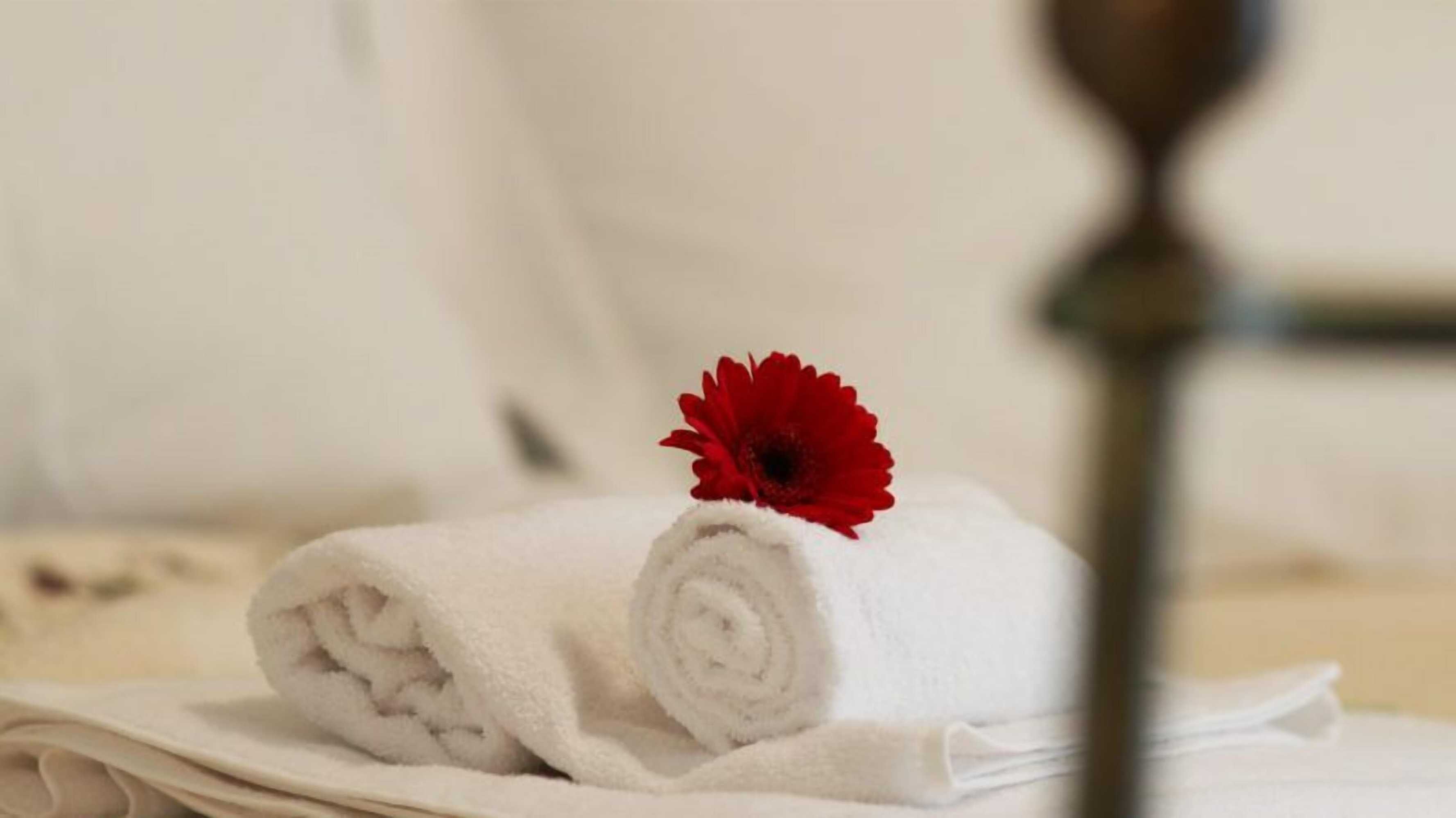 Gift card for B&b Corte Galo Gift card for B&b Corte Galo