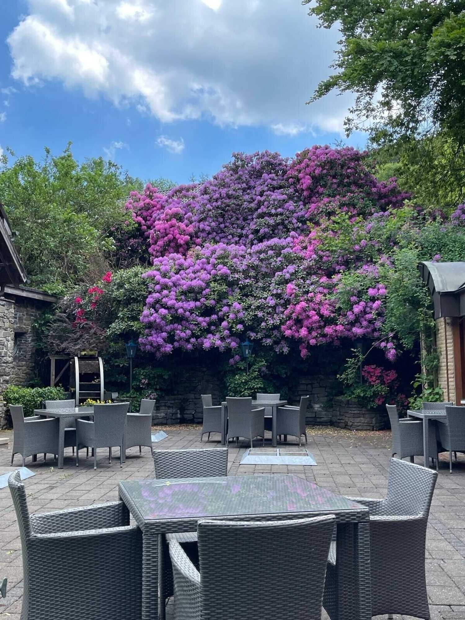 Gift card for Hotel-Restaurant Zur Mühle