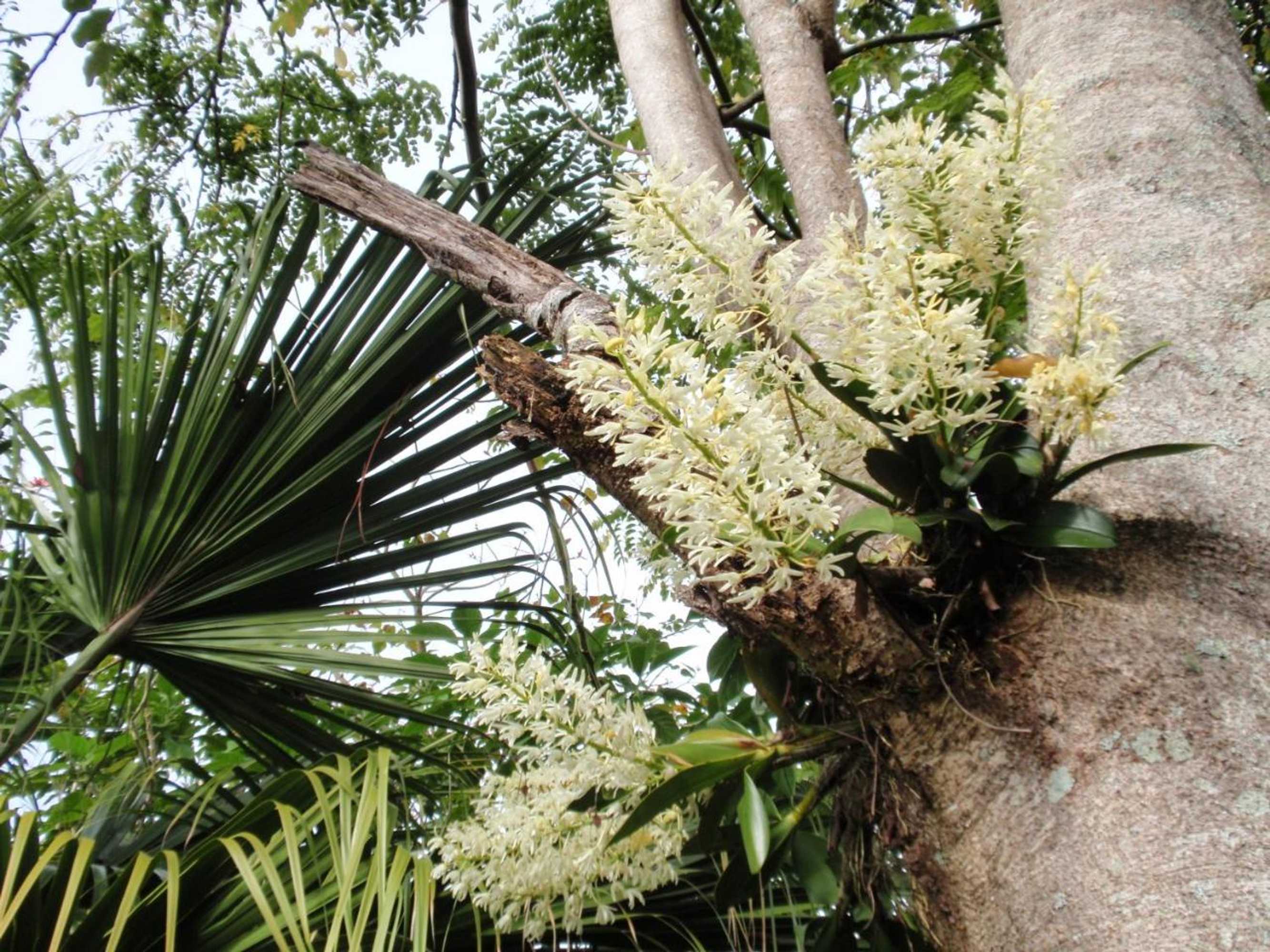 Gift card for Wharepuke Subtropical Accommodation Gift card for Wharepuke Subtropical Accommodation