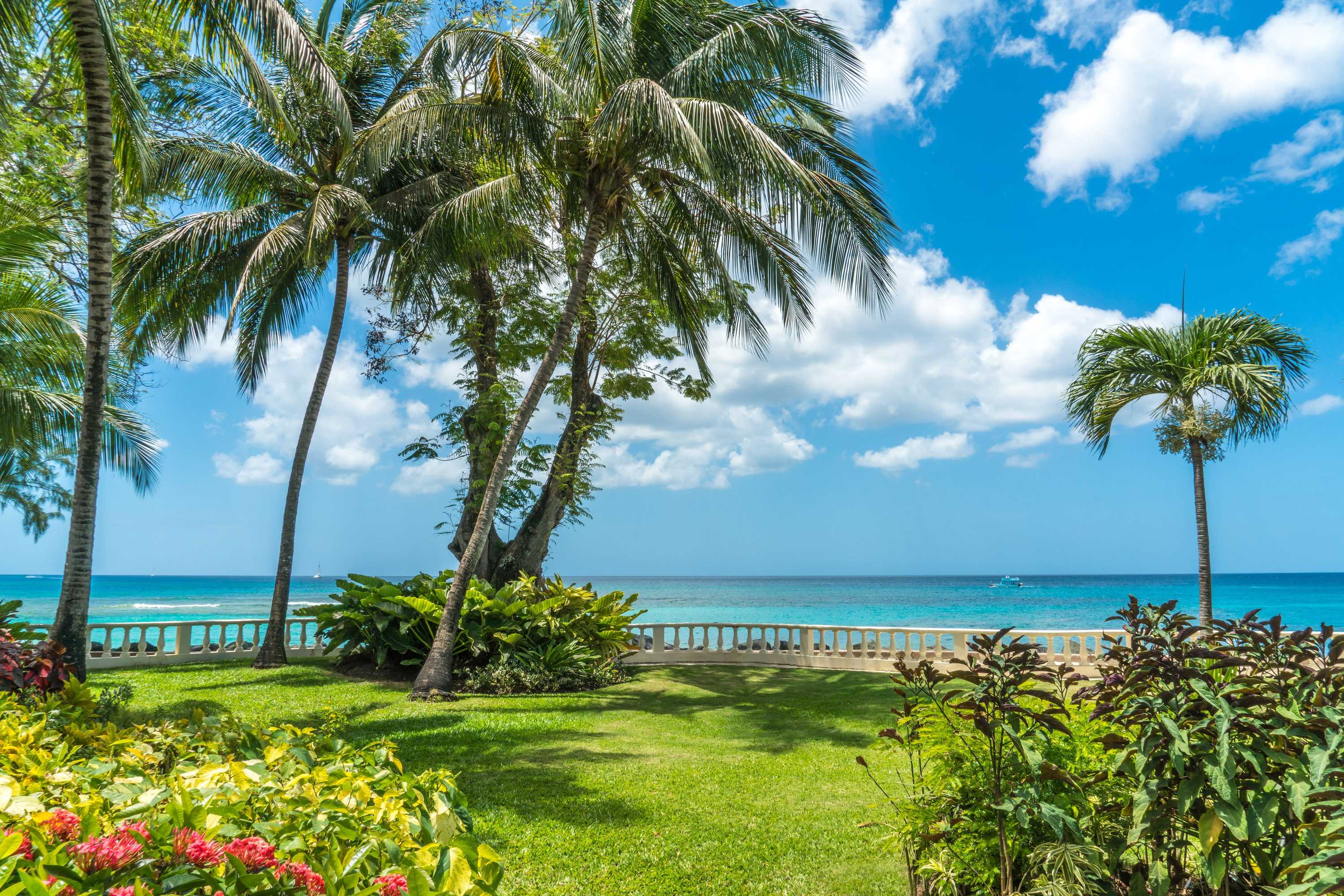 Gift card for Coral Reef Club Gift card for Coral Reef Club