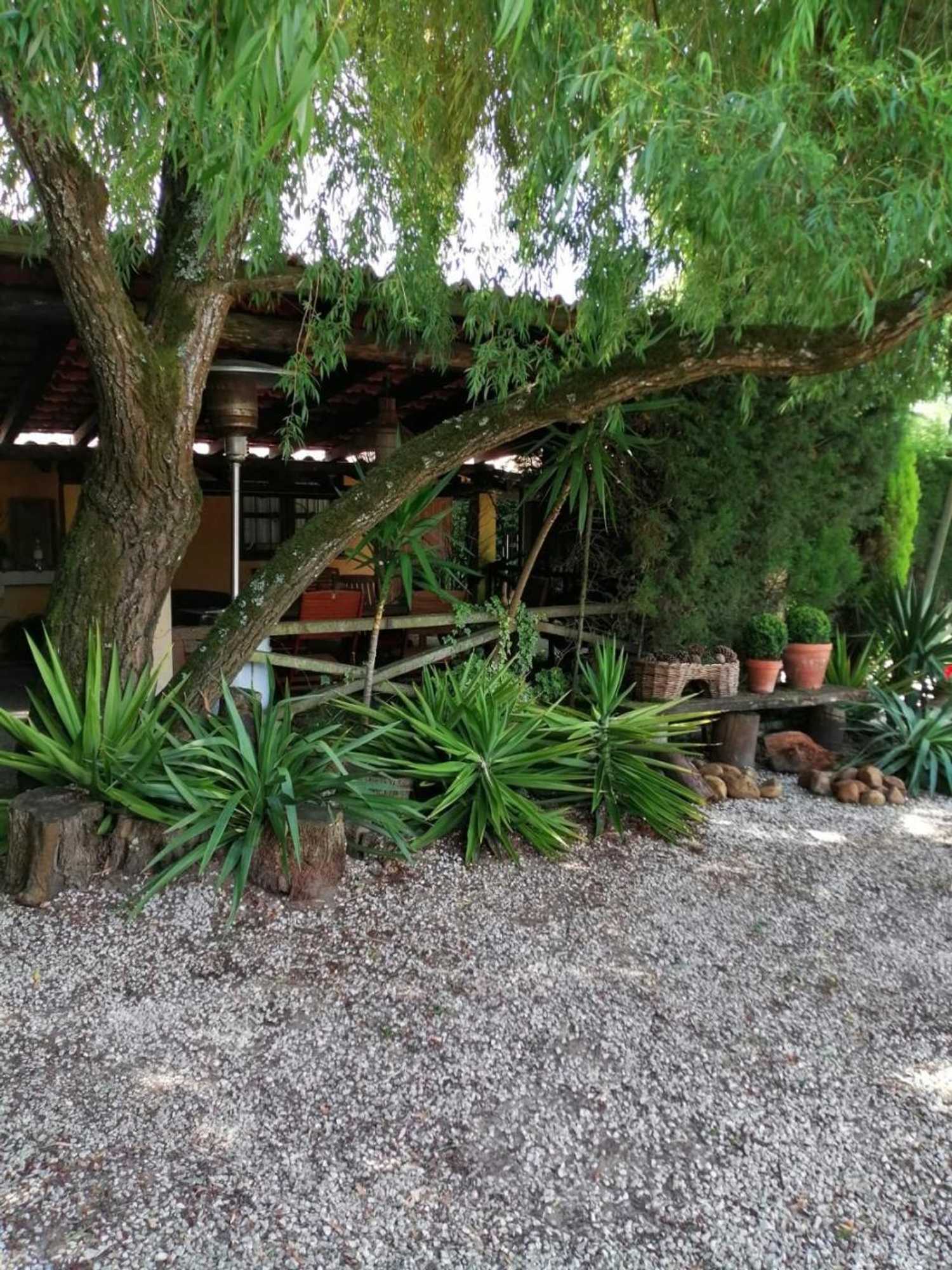 Gift card for Casa De Campo Colmeal