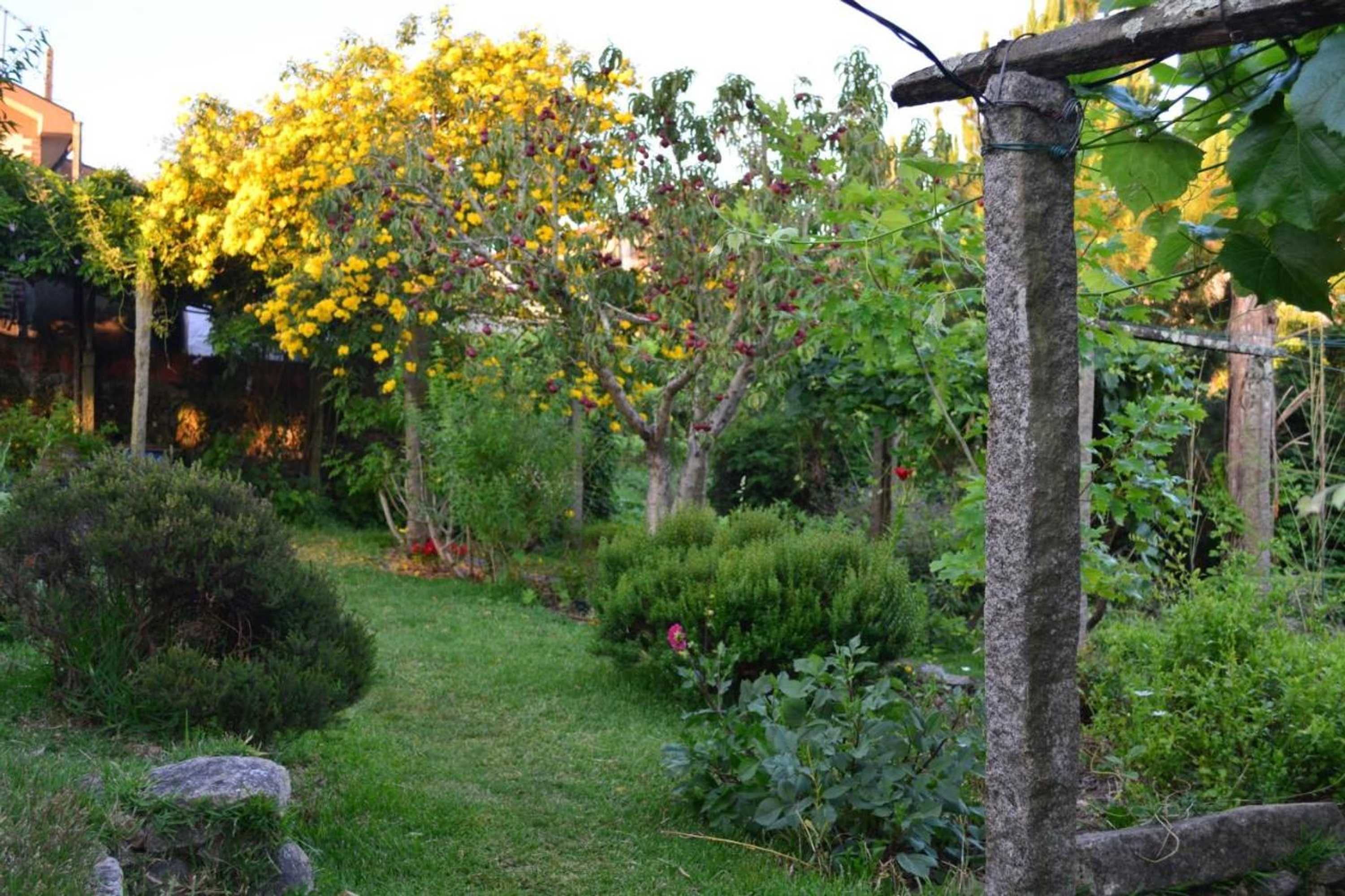 Gift card for Casa do Mestrinho