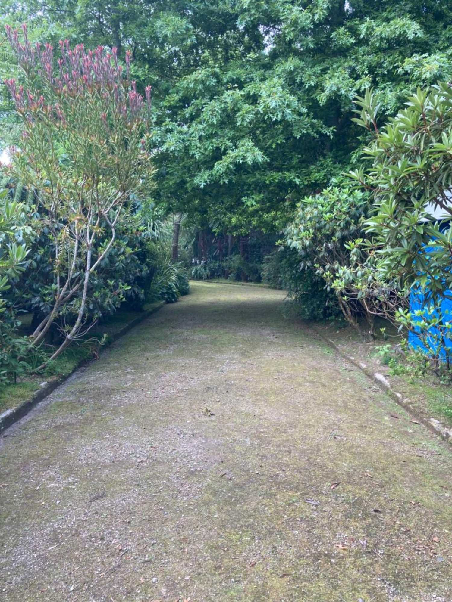 Gift card for Quinta de Santana - Queimadas