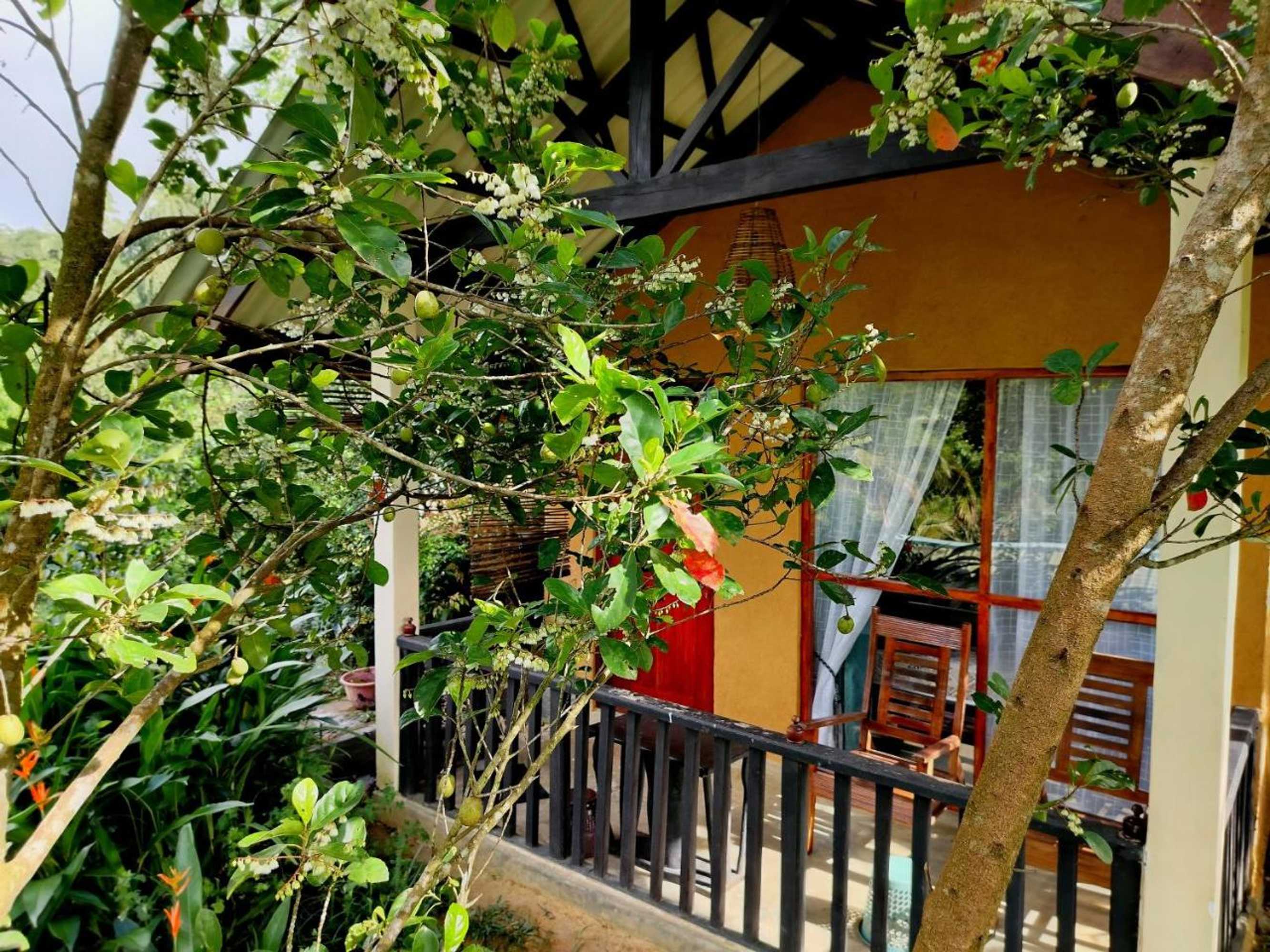 Gift card for Rainforest Nature House
