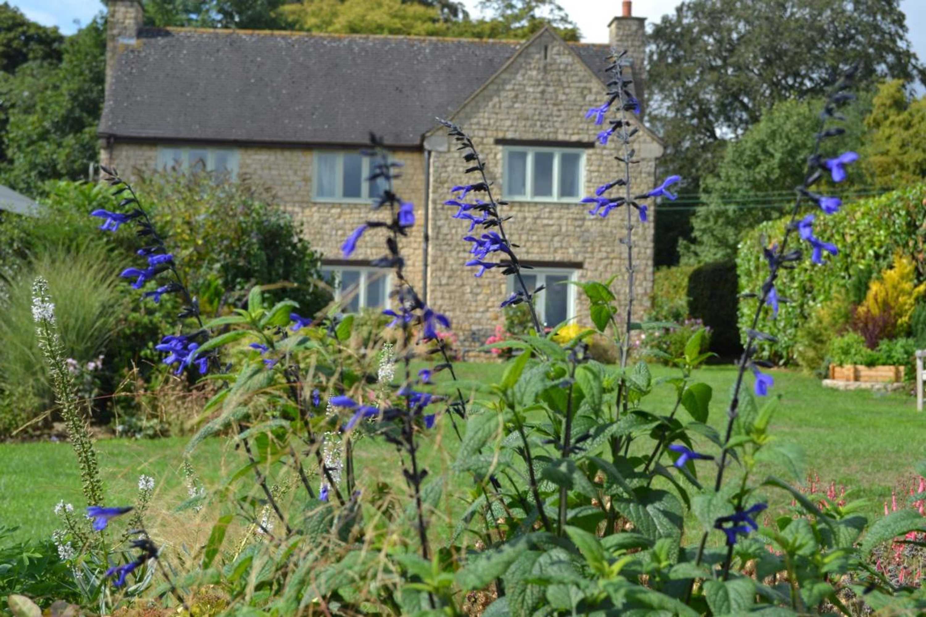 Gift card for Two Hoots Bed And Breakfast