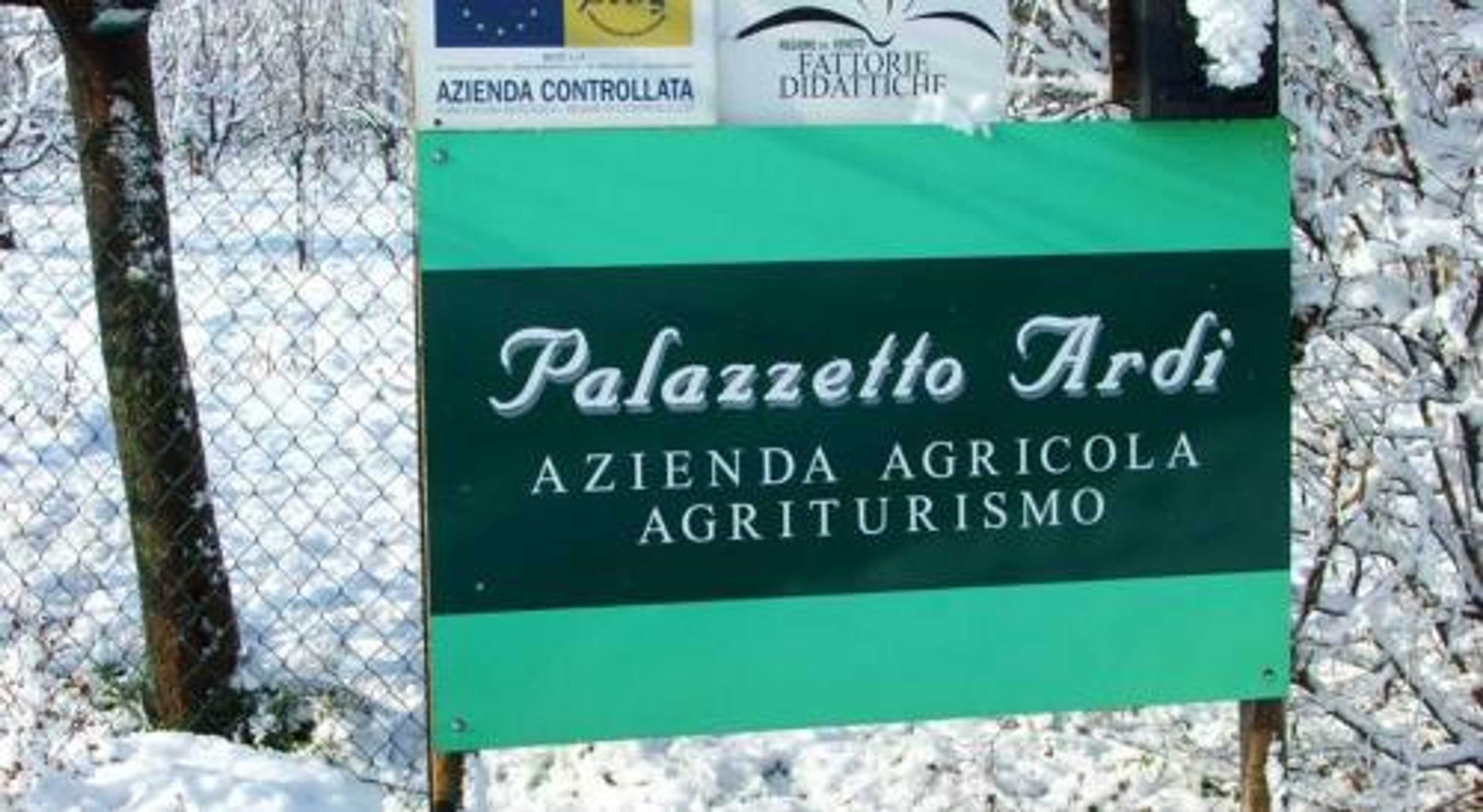 Gift card for Palazzetto Ardi Gift card for Palazzetto Ardi