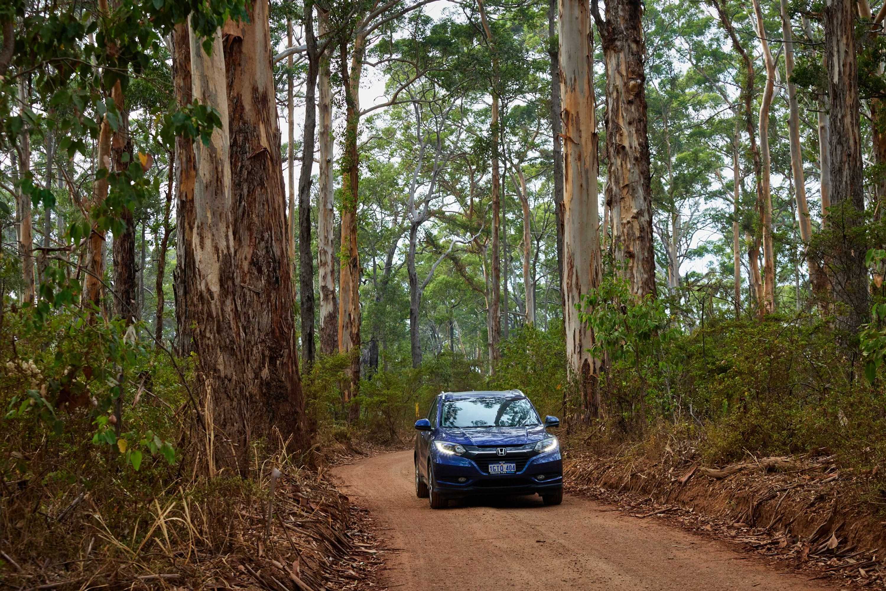 Gift card for Rac Margaret River Nature Park Gift card for Rac Margaret River Nature Park
