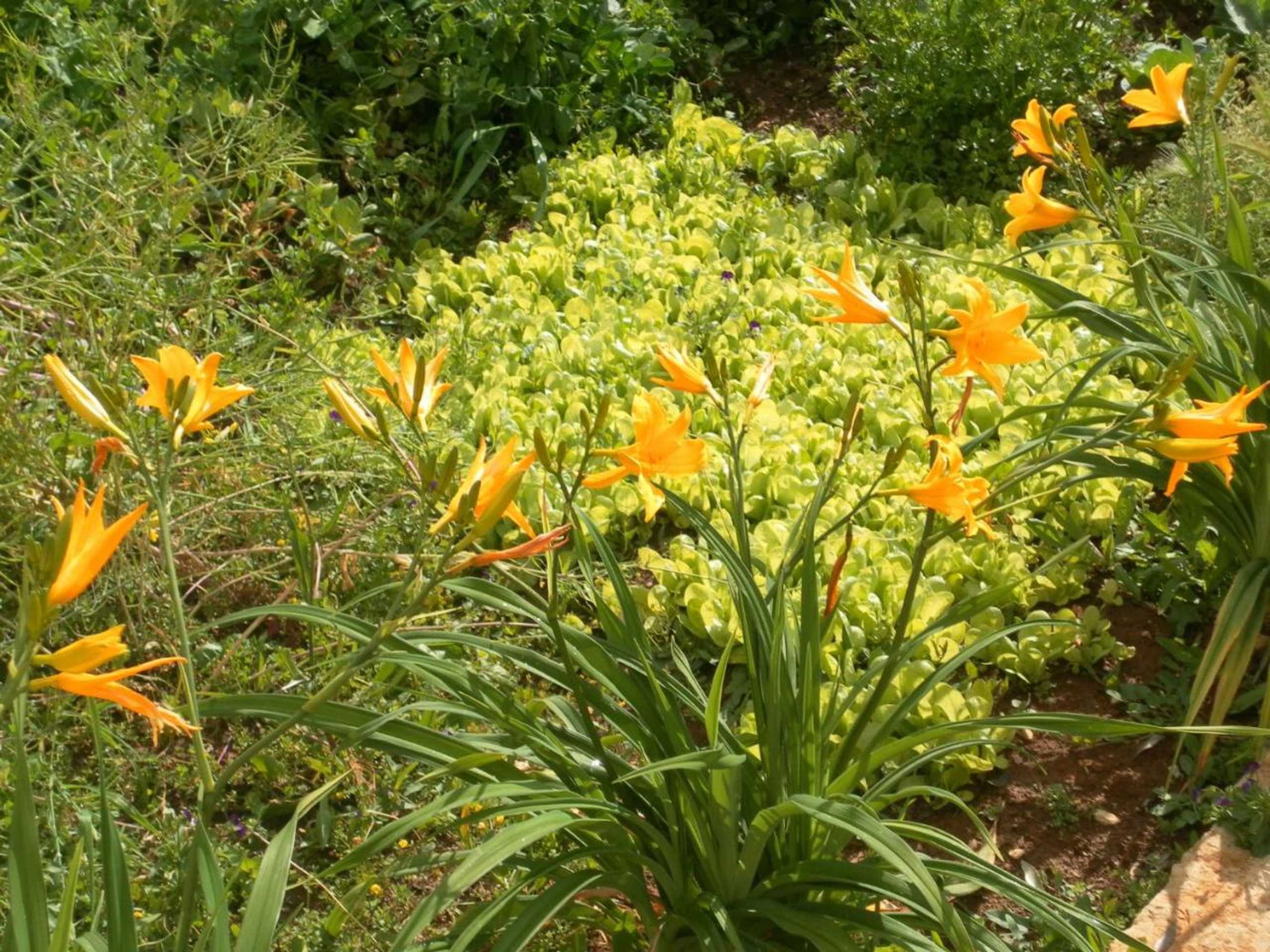 Gift card for Retiro Da Avó Lídia