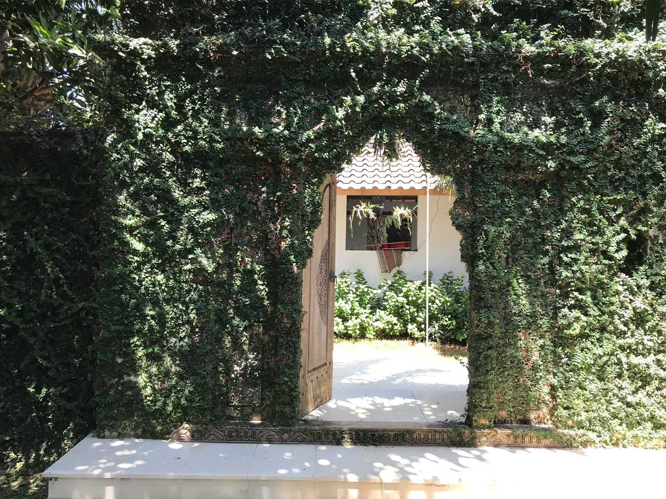 Gift card for Coconut Lodge Gift card for Coconut Lodge