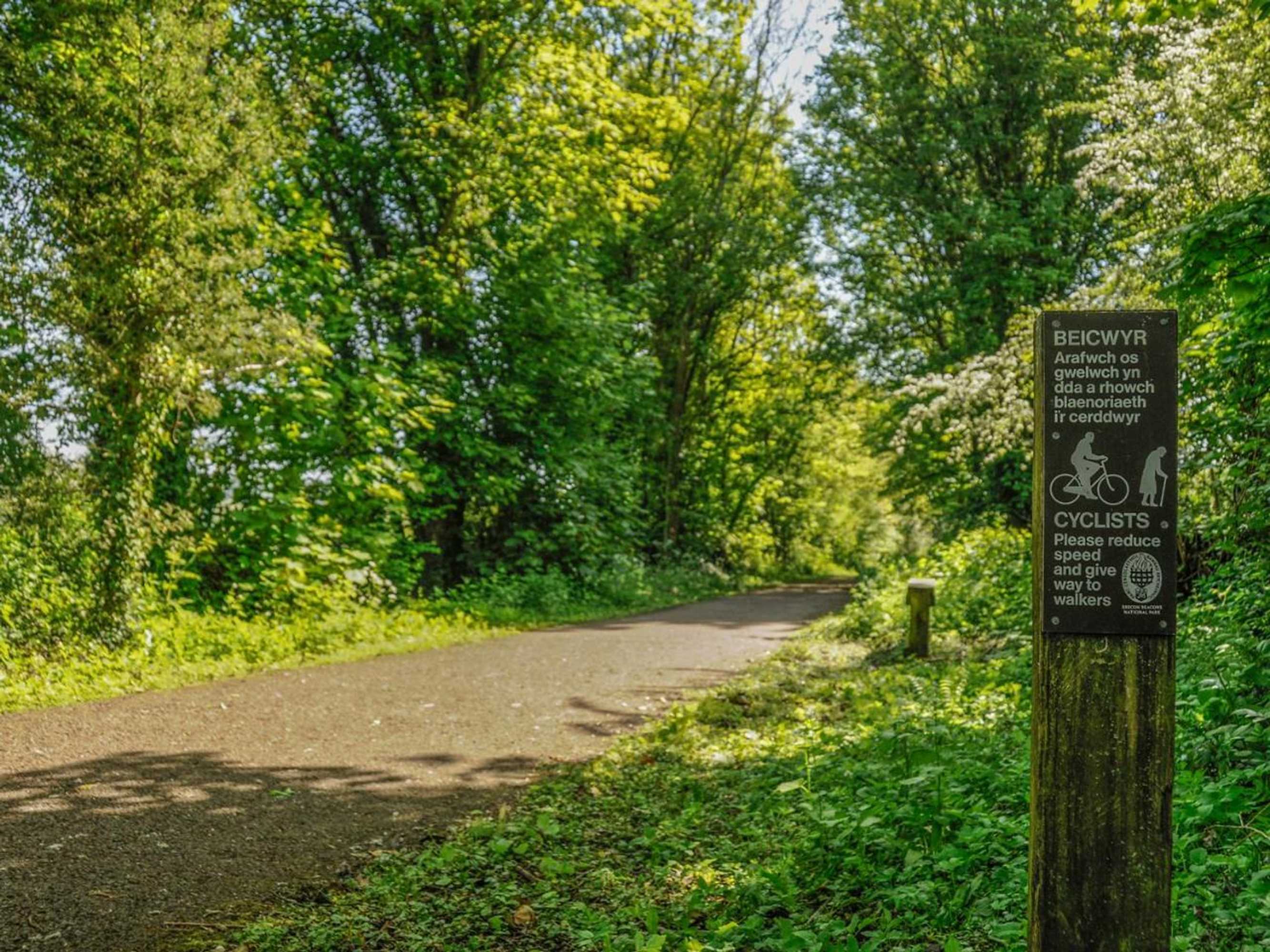 Gift card for Black Cat Bach