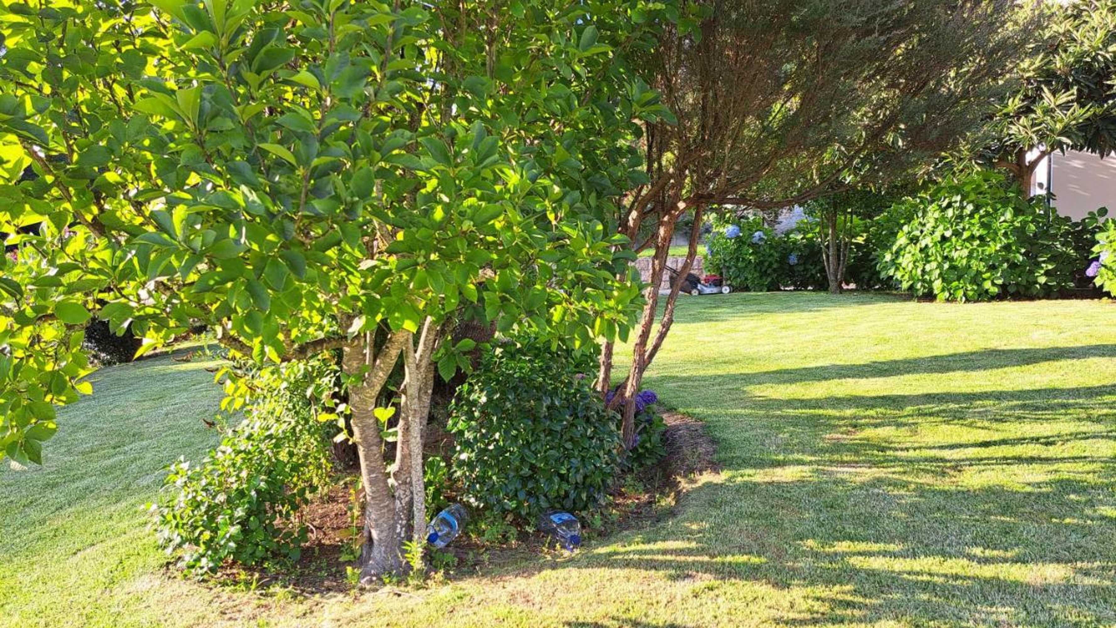 Gift card for Casa Pinho