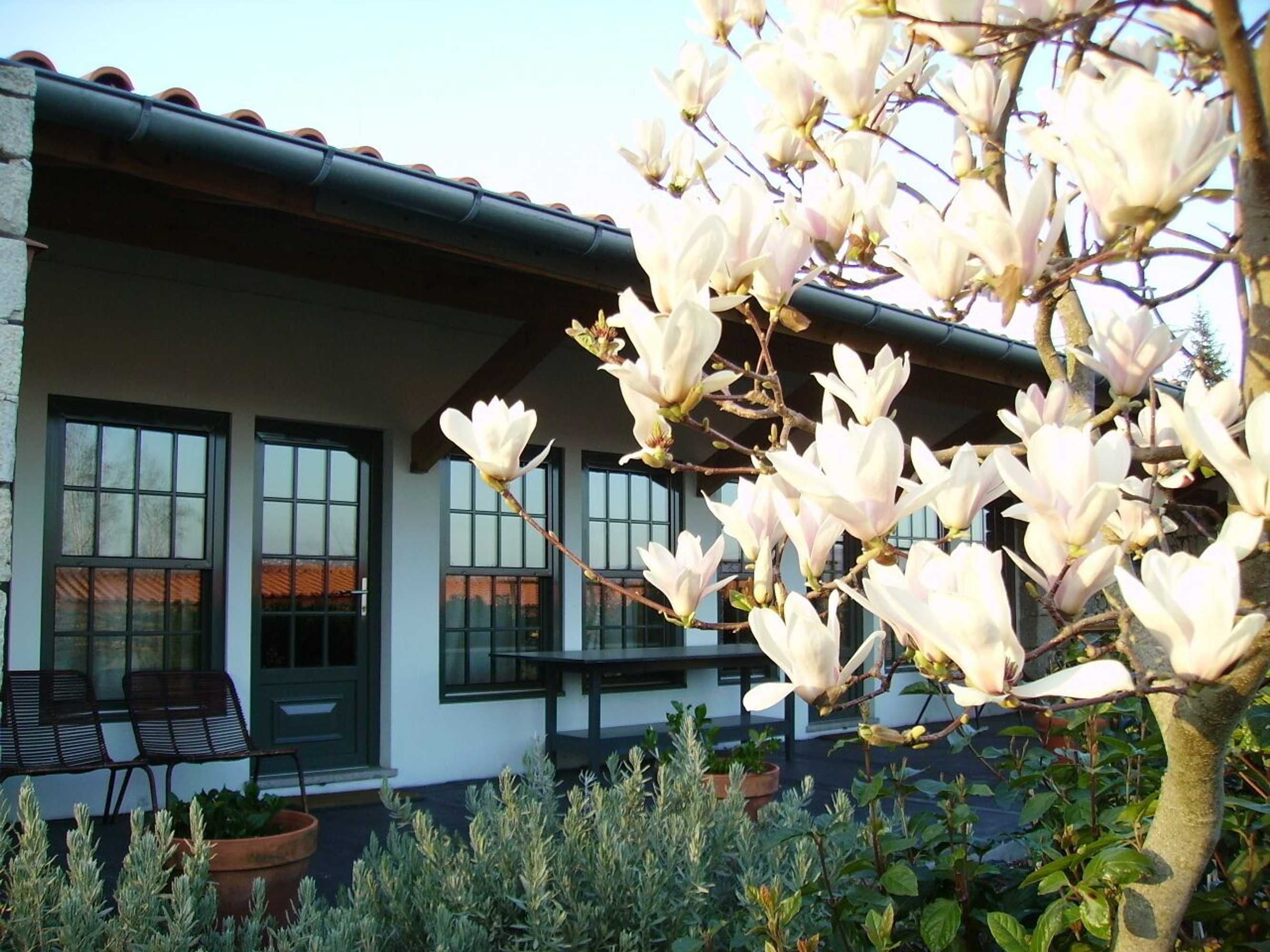 Gift card for Casa de Santo António de Britiande