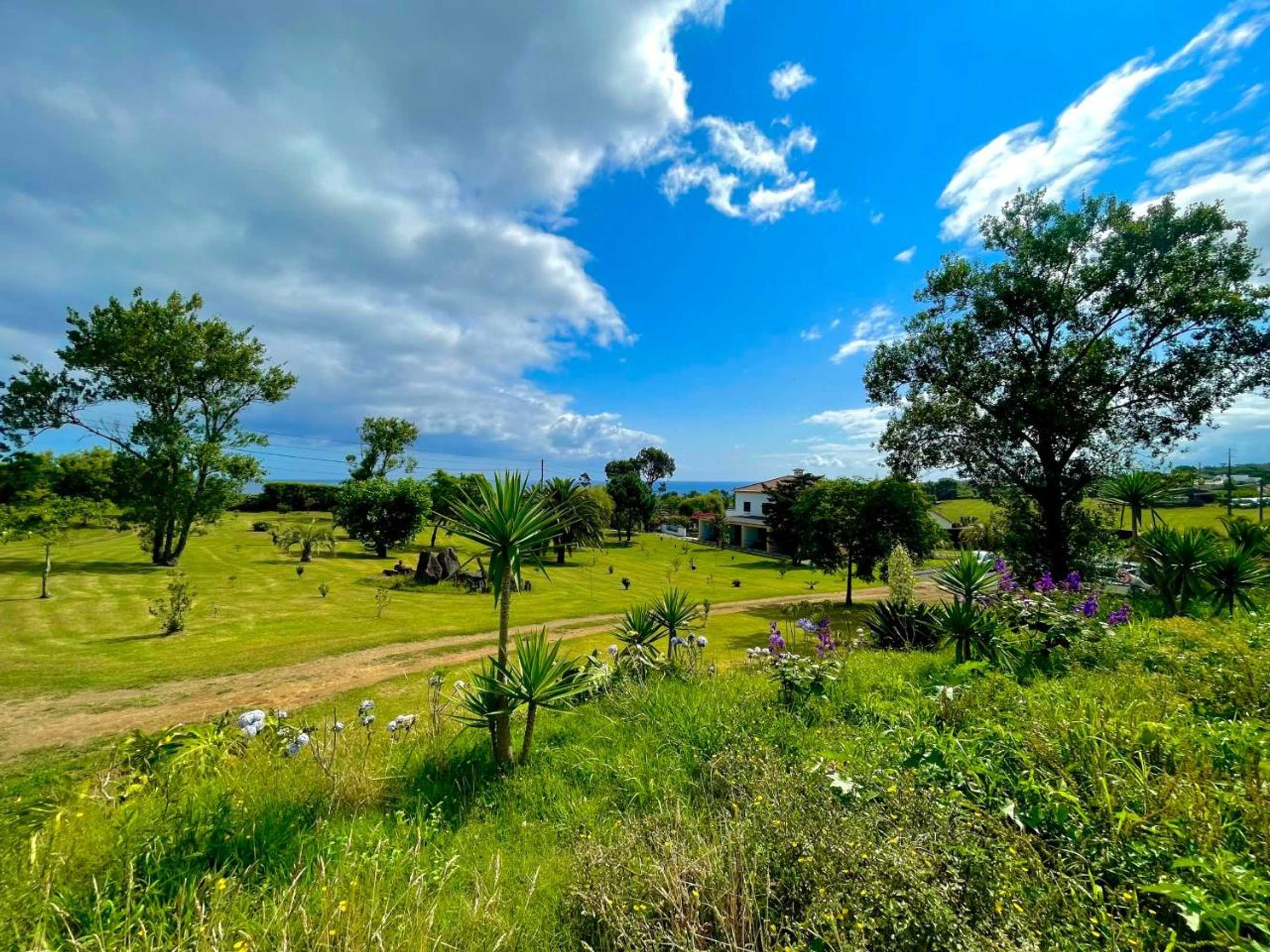 Gift card for Solar Pontes