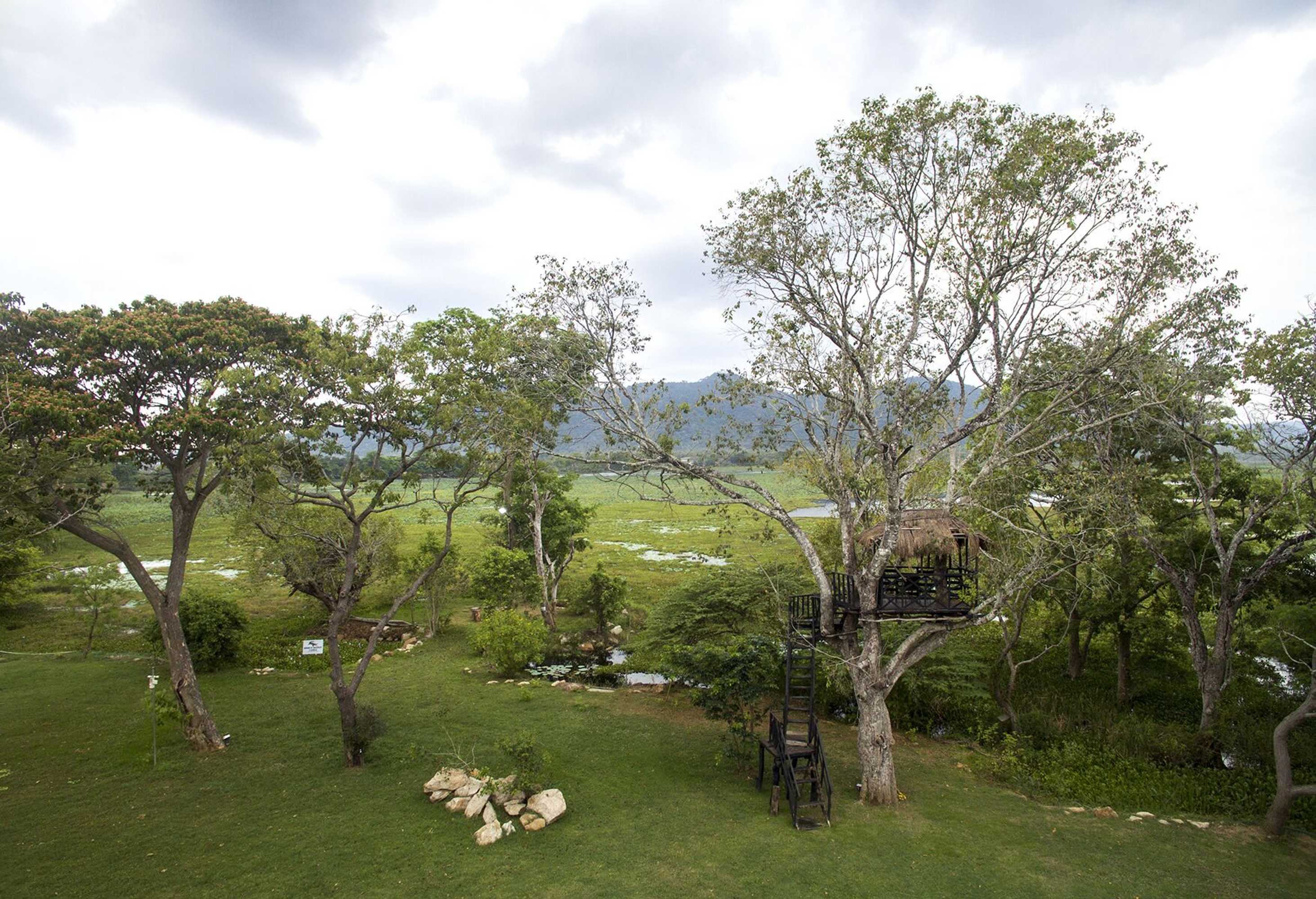 Gift card for Grand Tamarind Lake