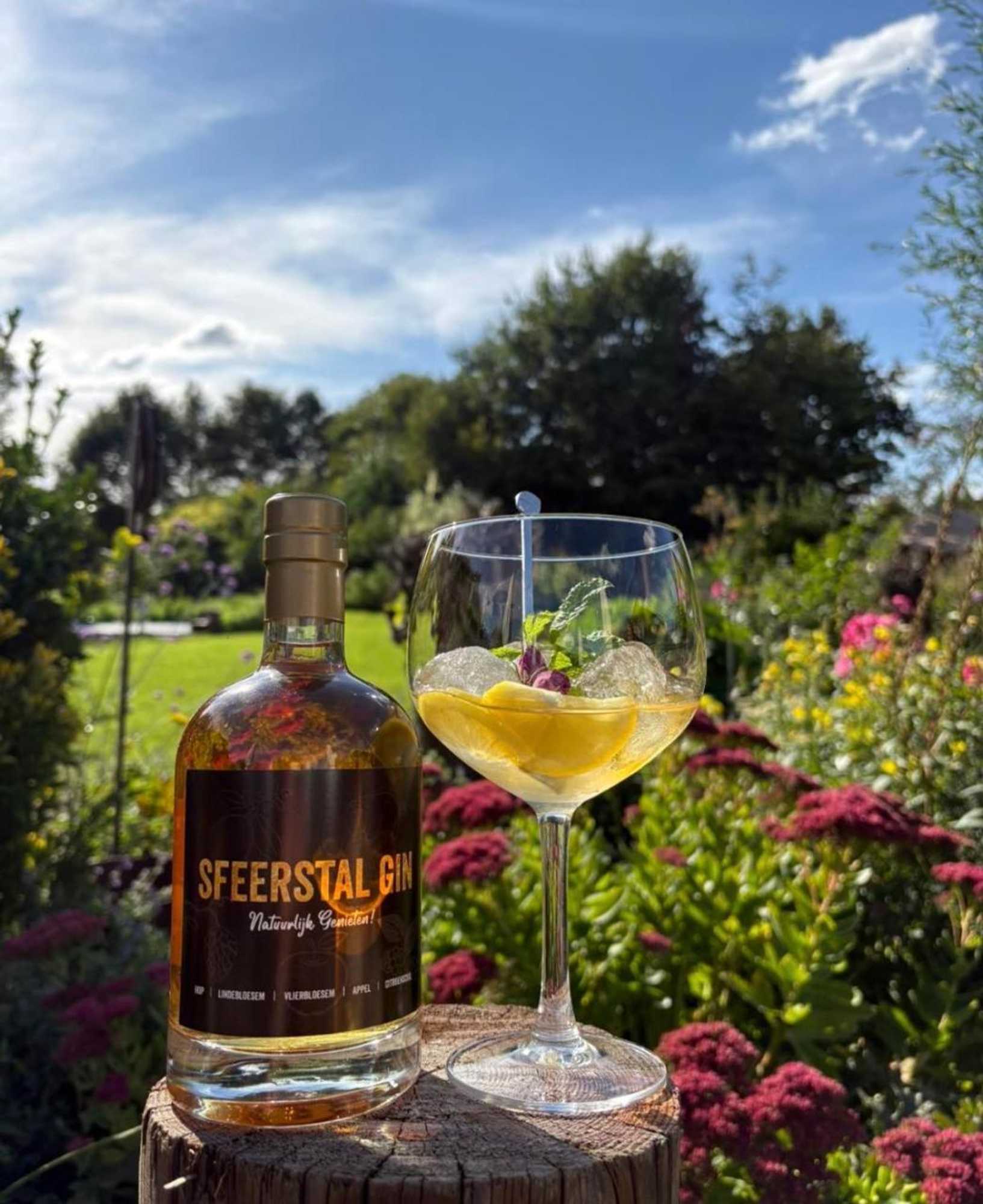 Gift card for De Sfeerstal