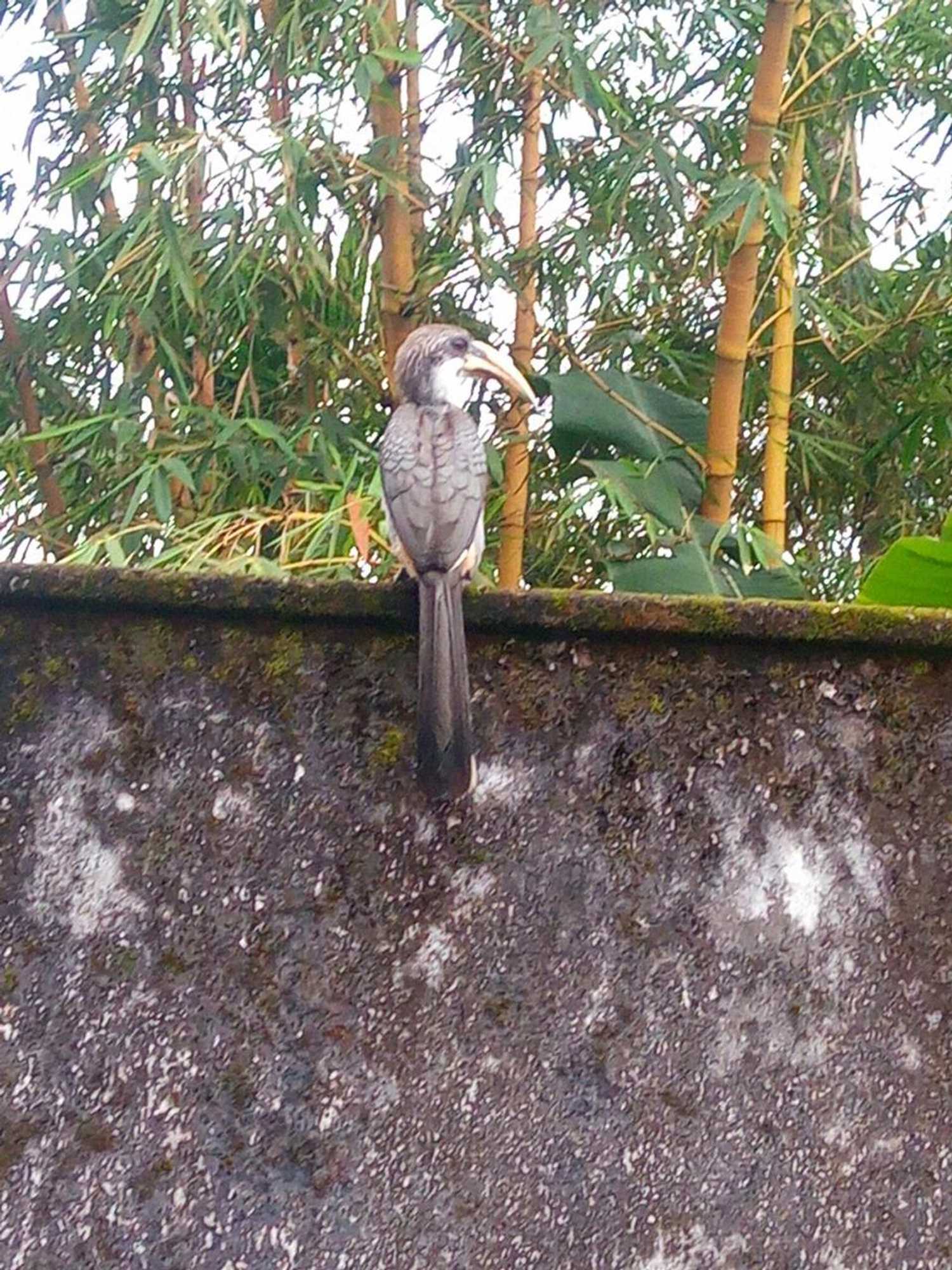 Gift card for Rathna Gems Halt