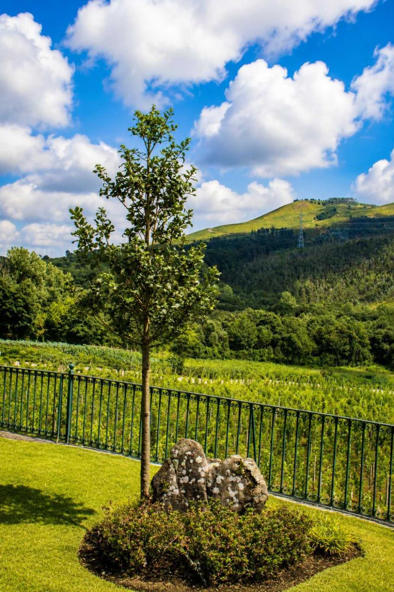 Gift card for Quinta da Eira do Sol Gift card for Quinta da Eira do Sol