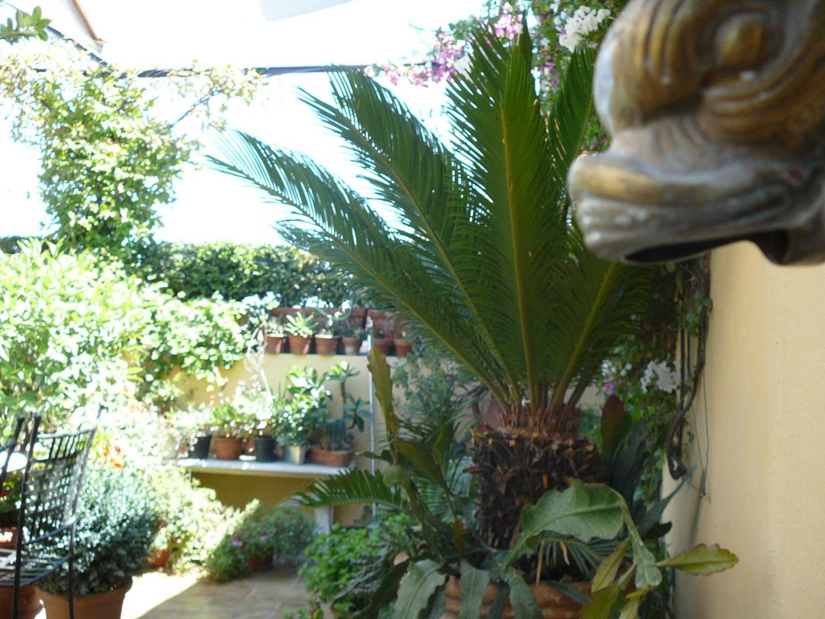 Gift card for La Terrazza Dei Pelargoni B&b Gift card for La Terrazza Dei Pelargoni B&b
