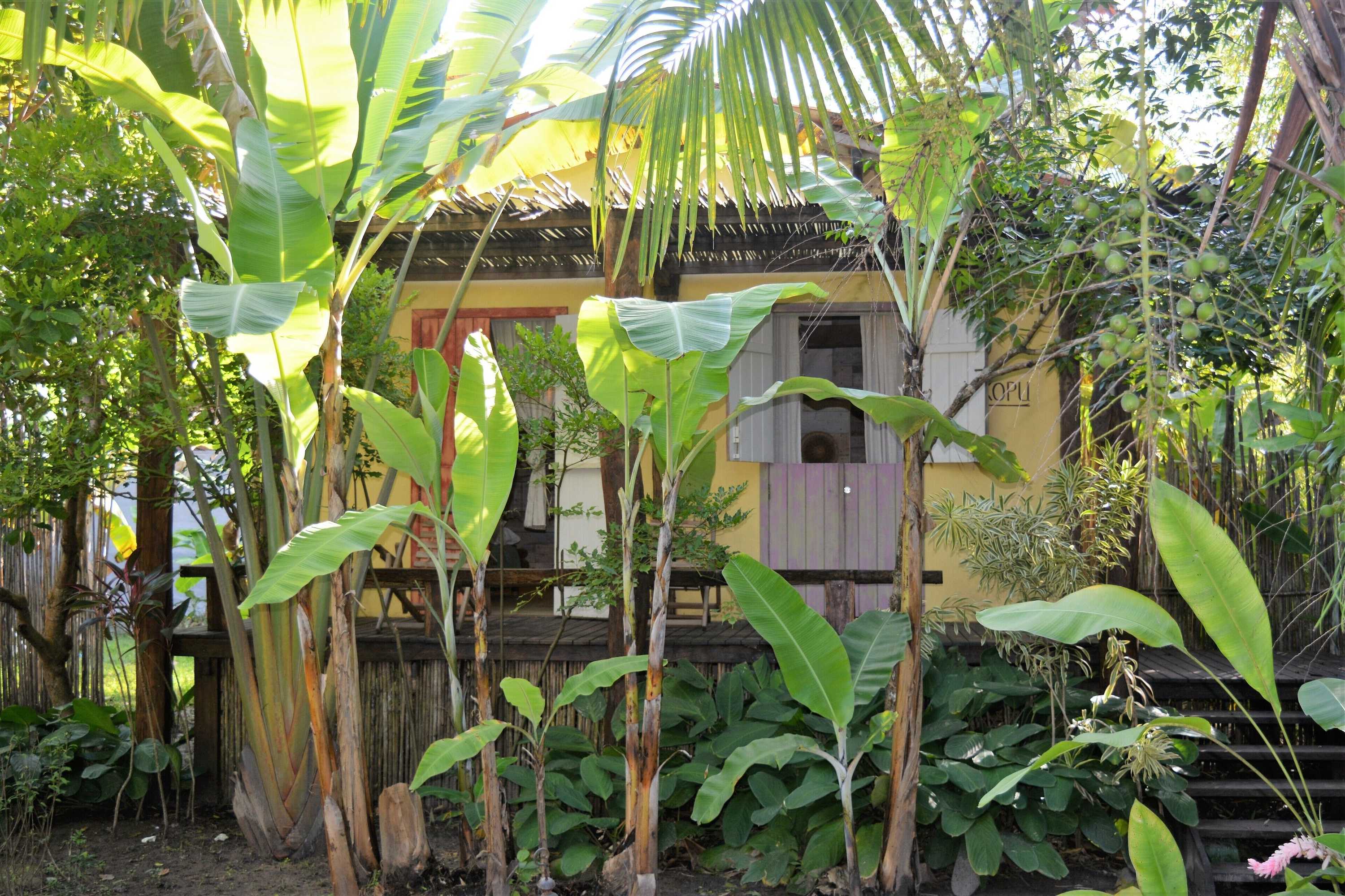 Gift card for Butterfly House Bahia Gift card for Butterfly House Bahia
