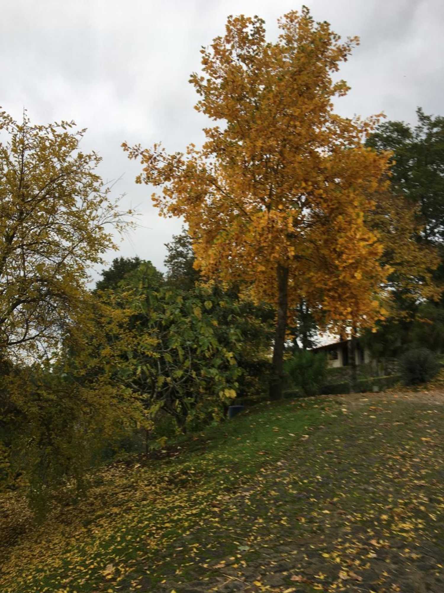 Gift card for Quinta de Silharezes, Lda