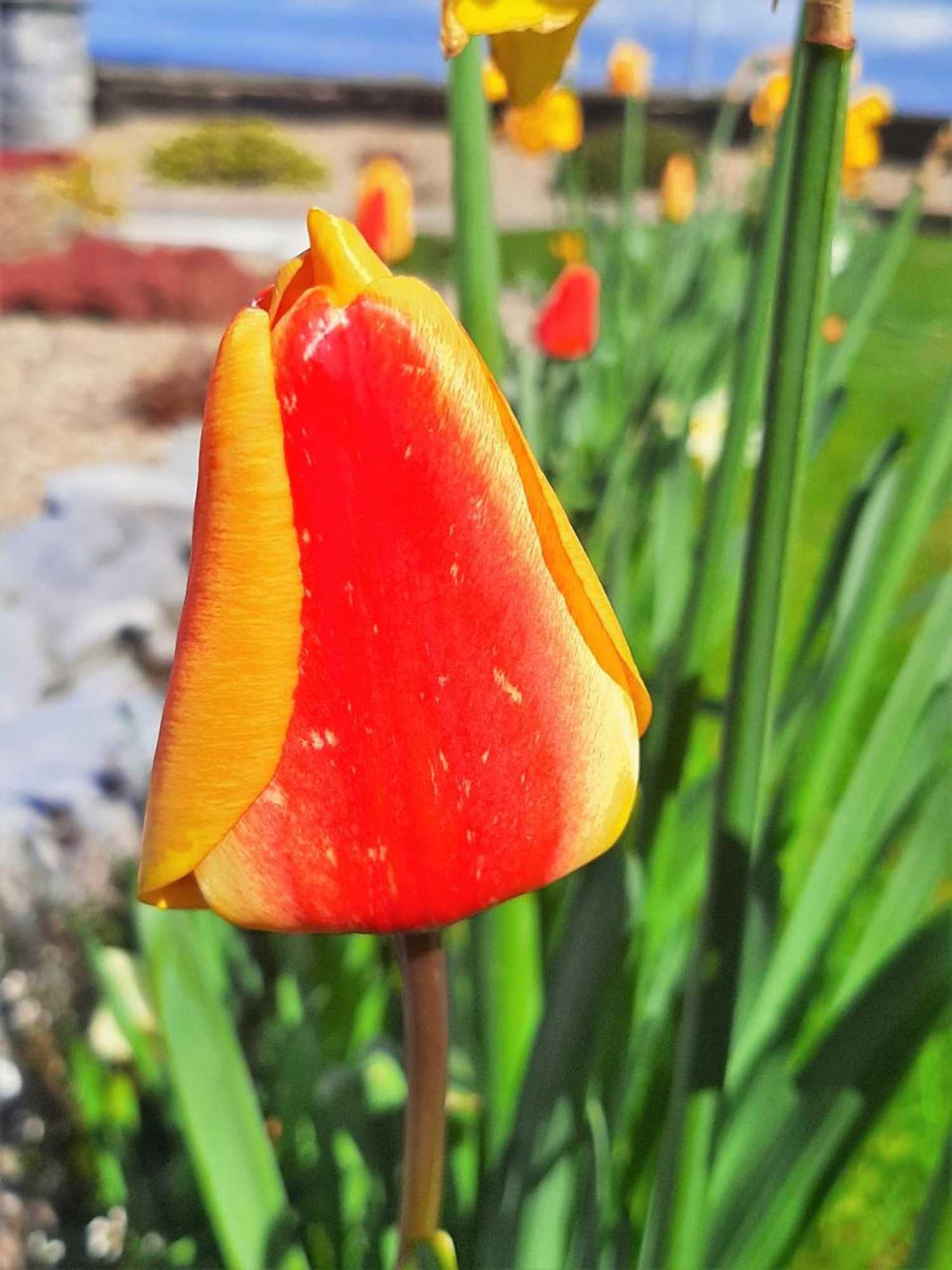 Gift card for Bunratty Haven Bed & Breakfast Gift card for Bunratty Haven Bed & Breakfast