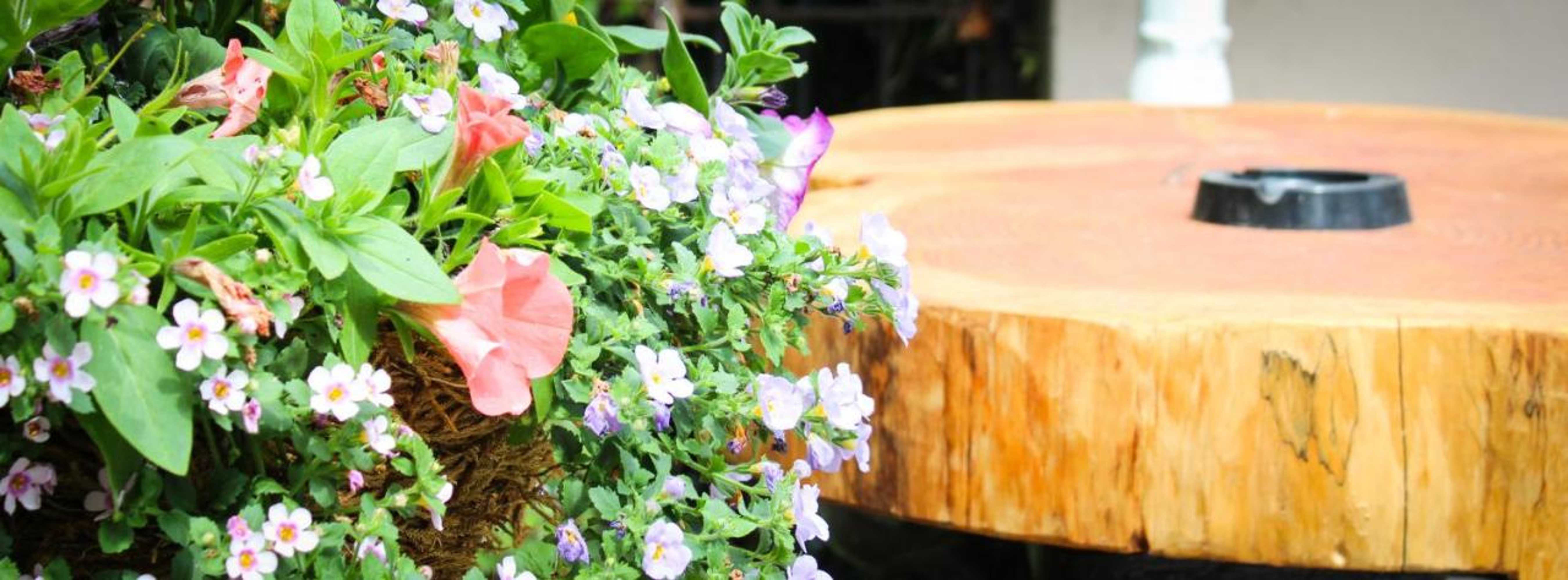 Gift card for The Enniskerry Inn