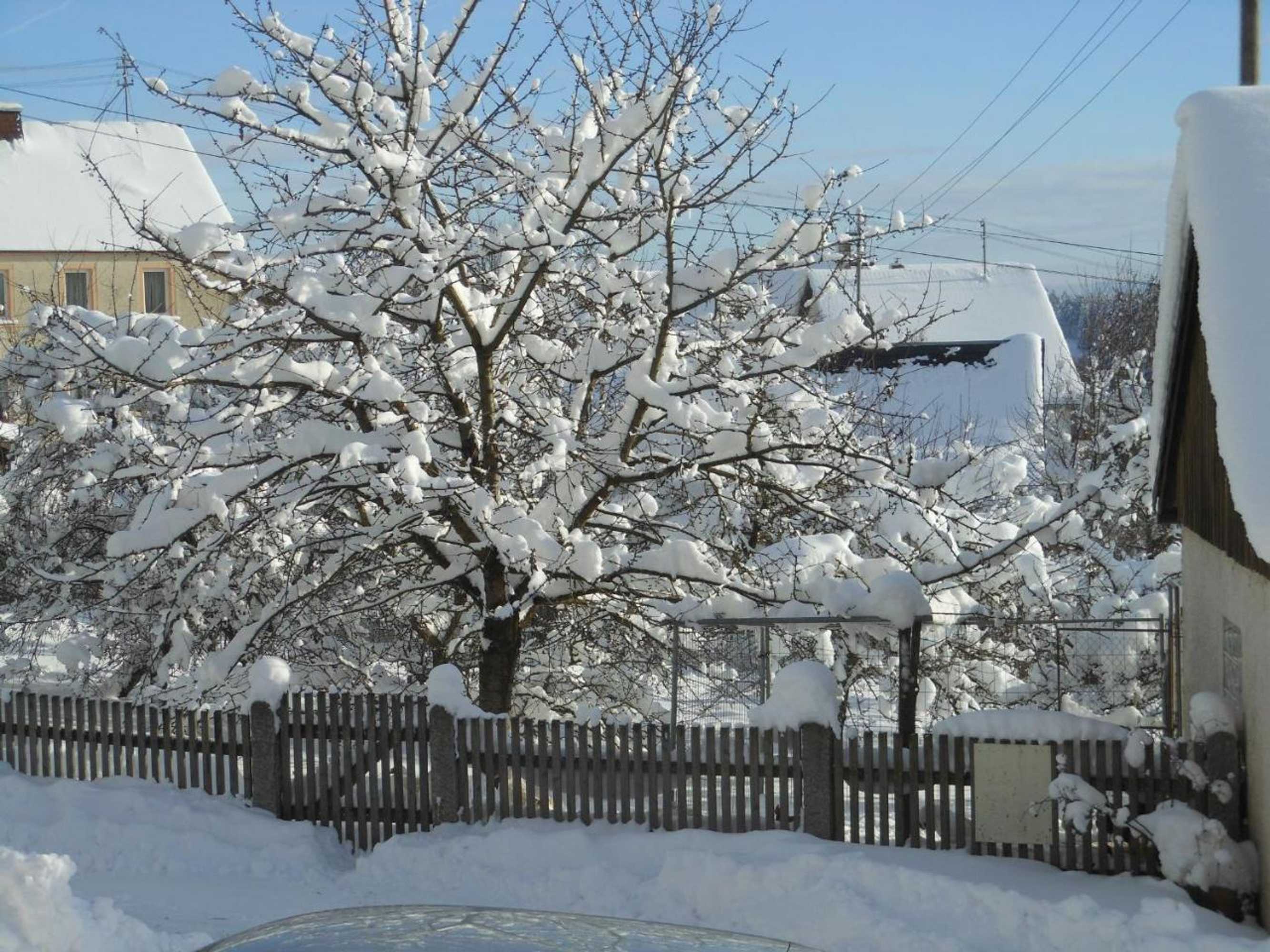 Gift card for Gästehaus Fichtelgebirgsblick