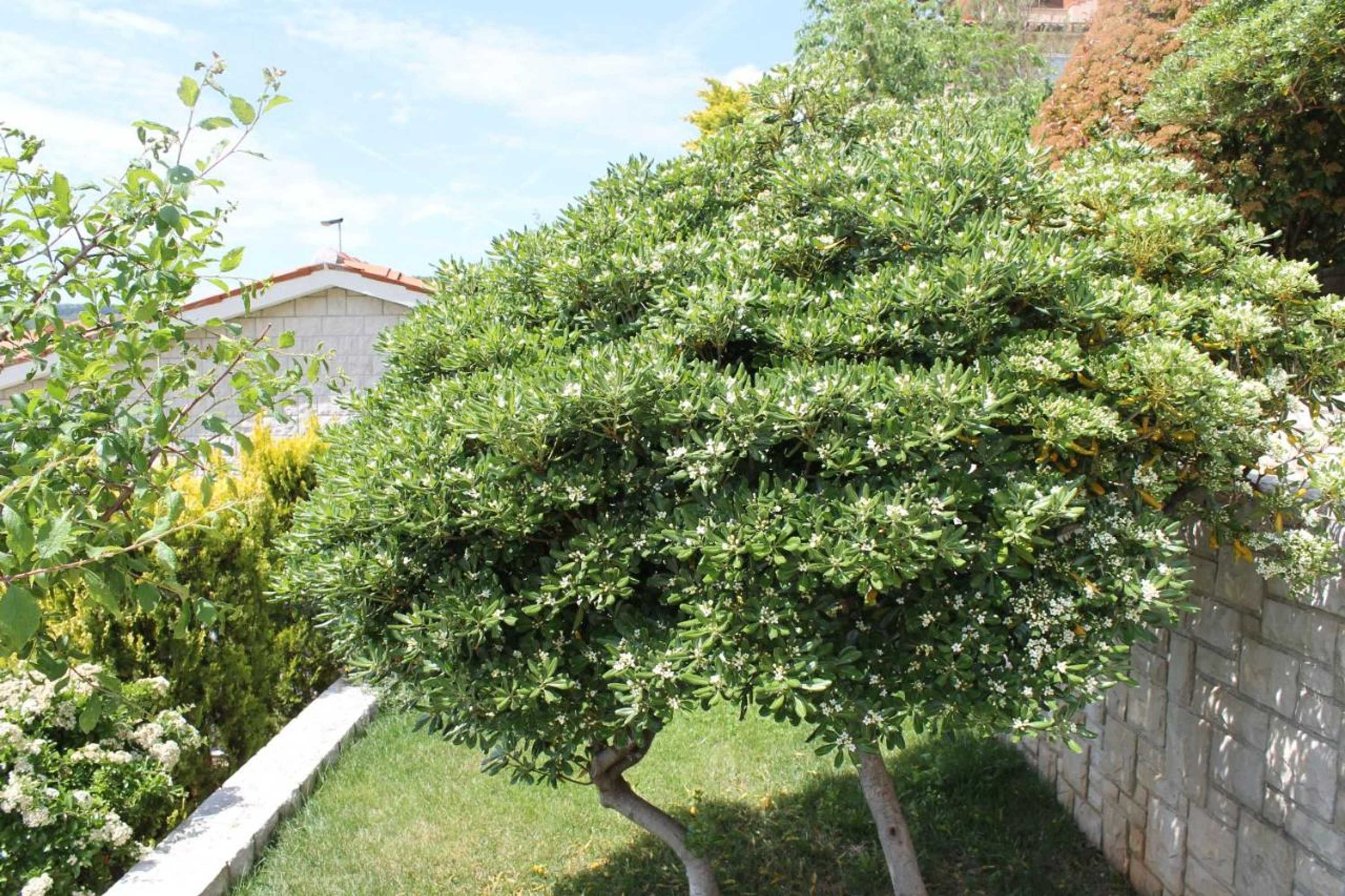 Gift card for Apartments Mareblu