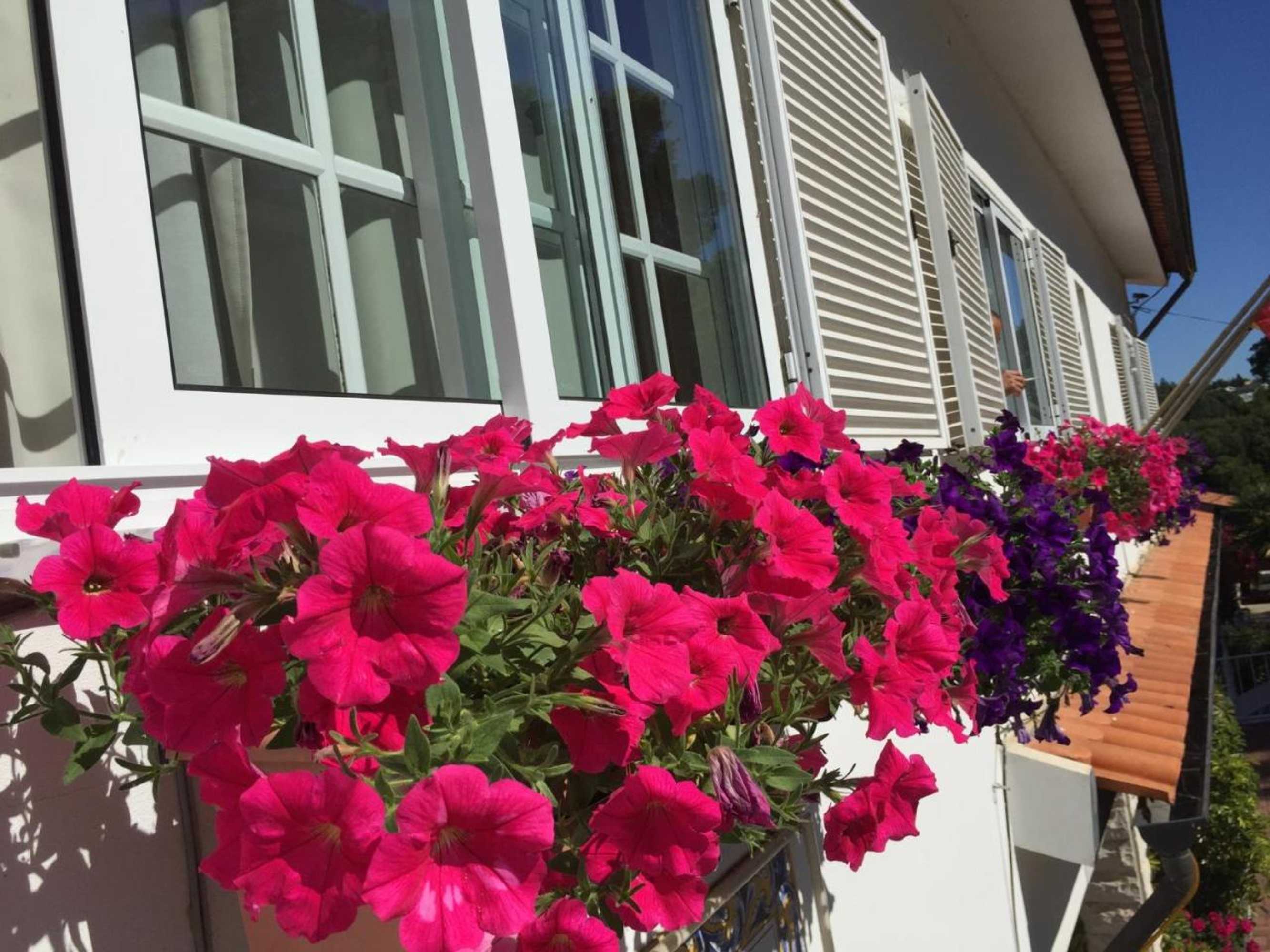 Gift card for Residencial Celeste