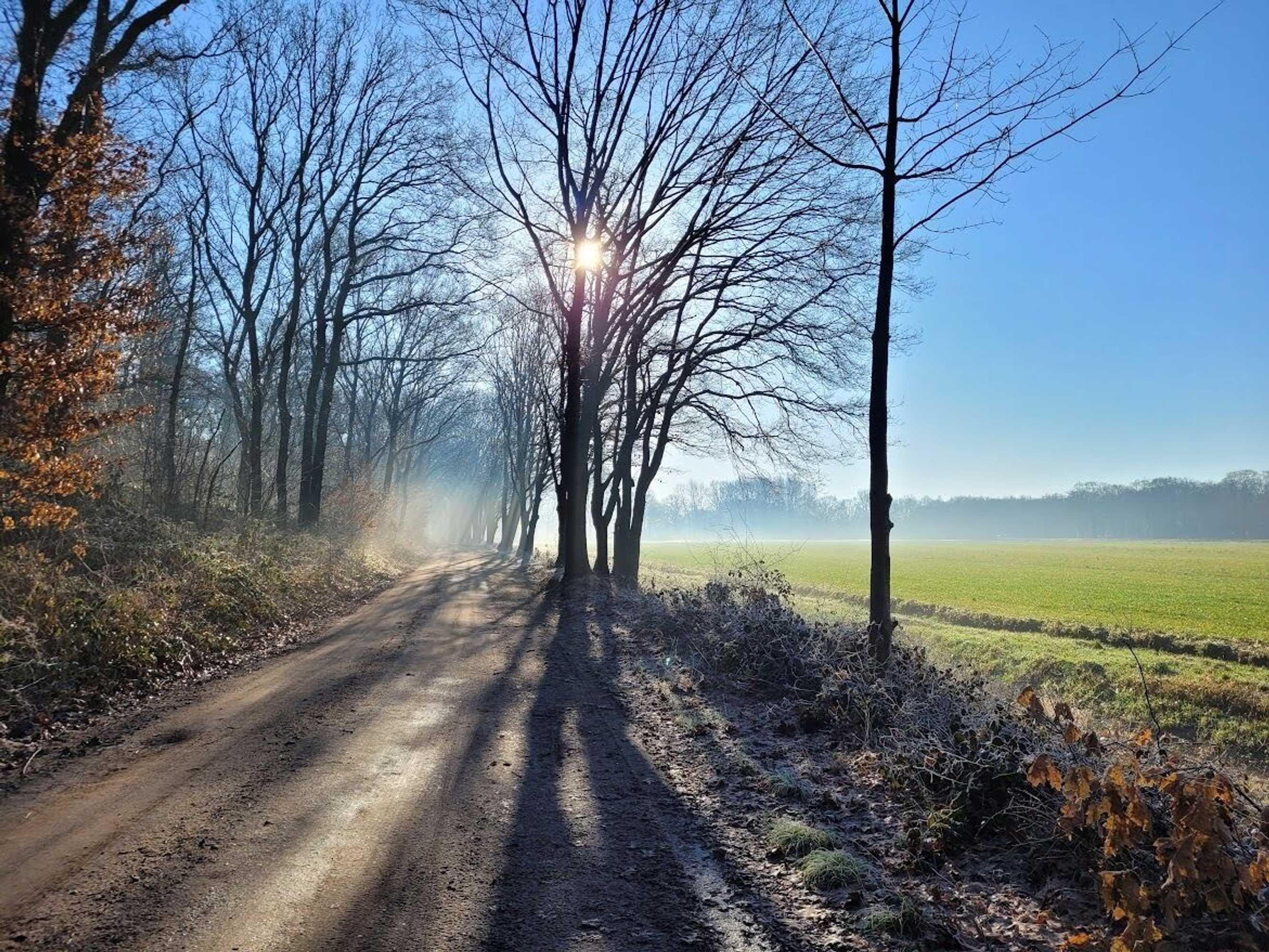 Gift card for B&b De Grote Waaij