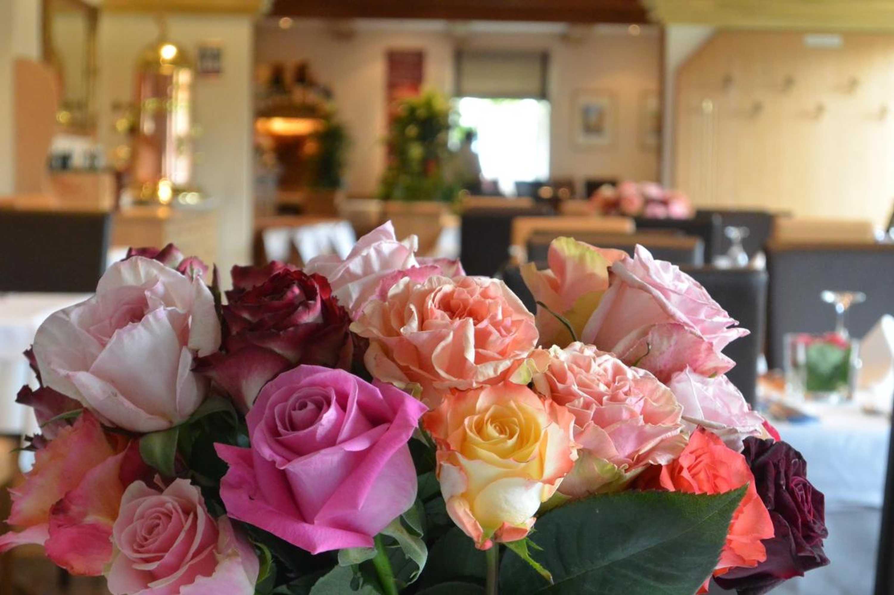 Gift card for Hotel Schlee