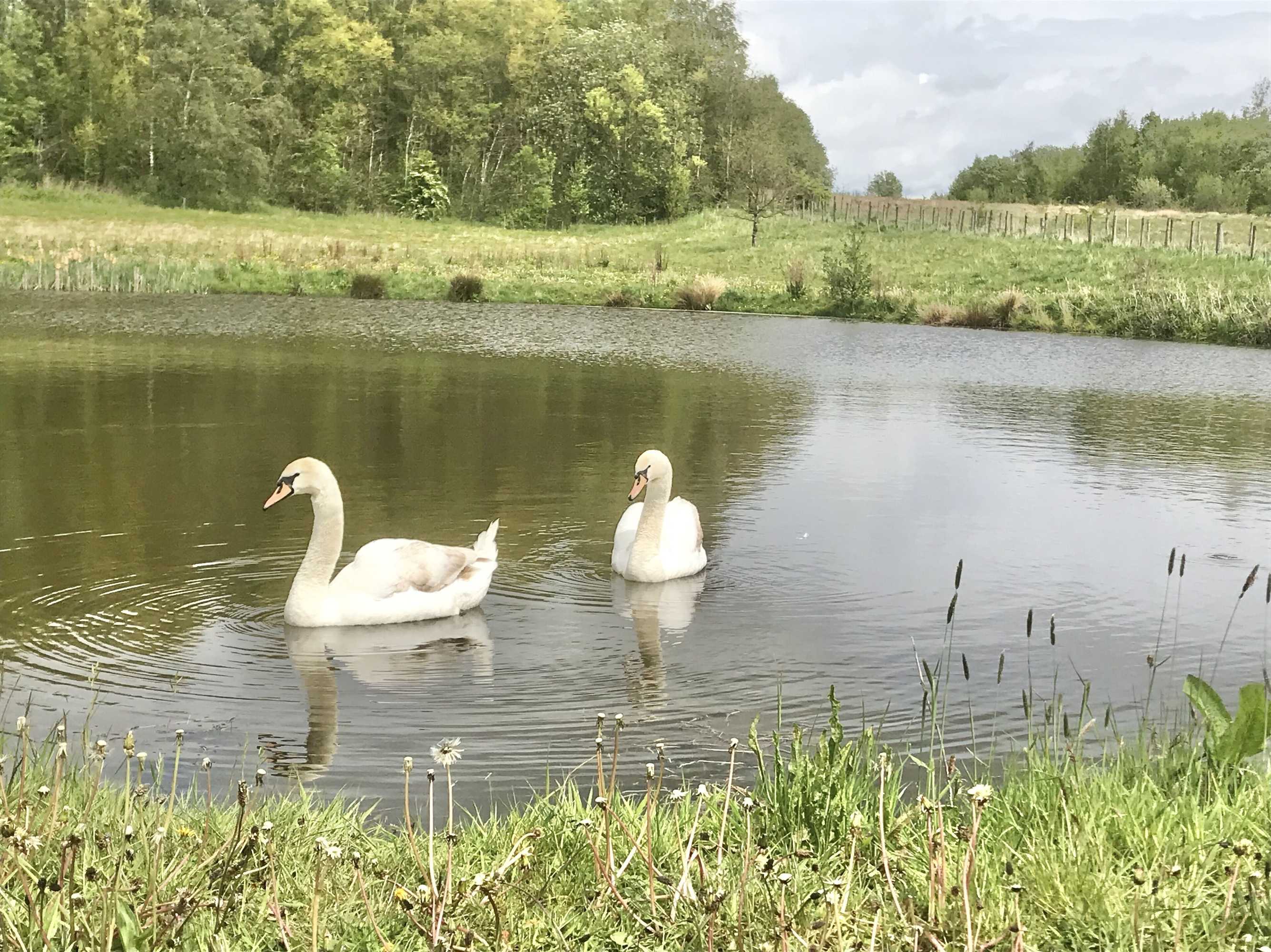 Gift card for Marehay Hall Farm Gift card for Marehay Hall Farm