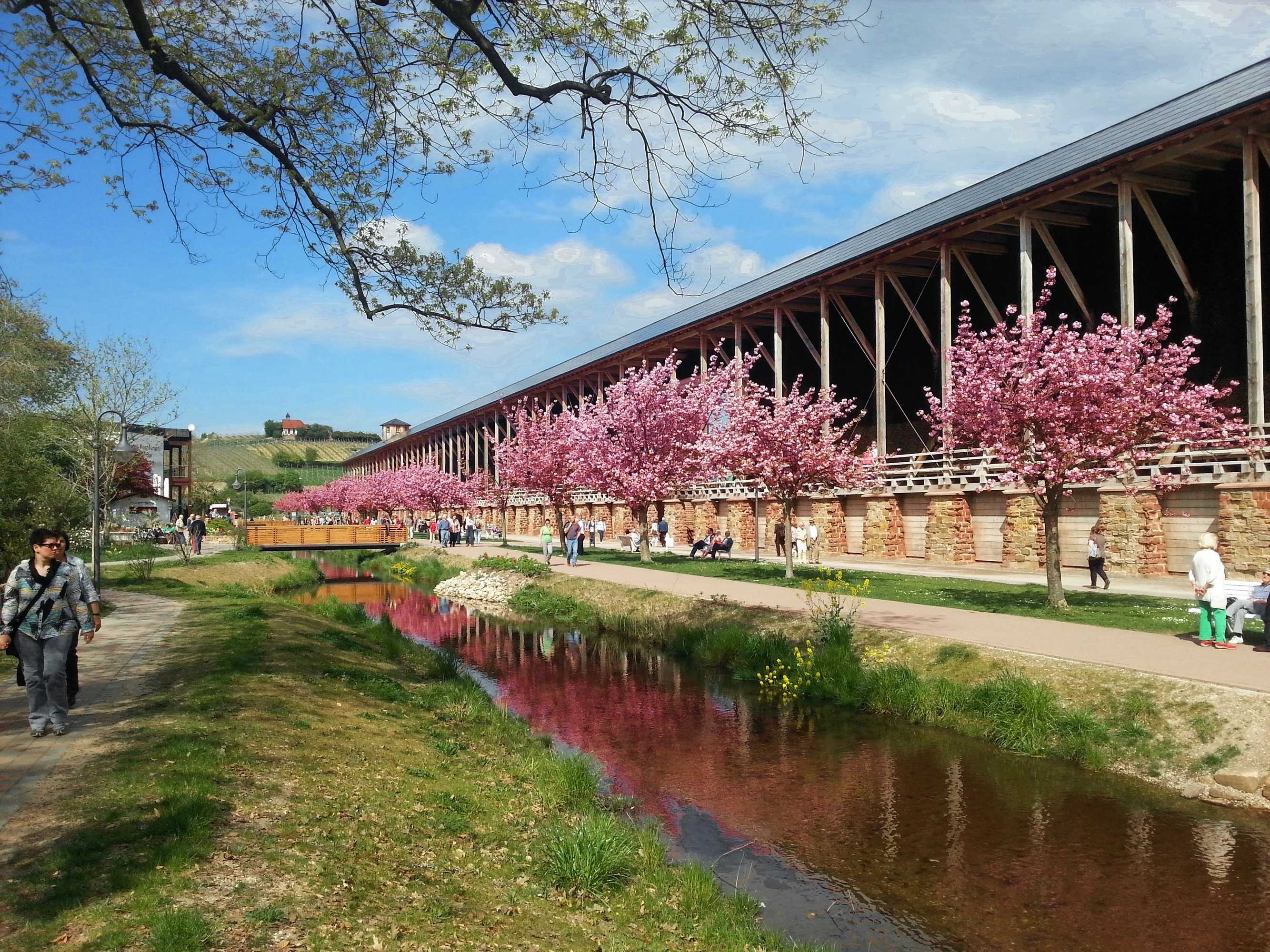 Gift card for Gartenhotel Heusser