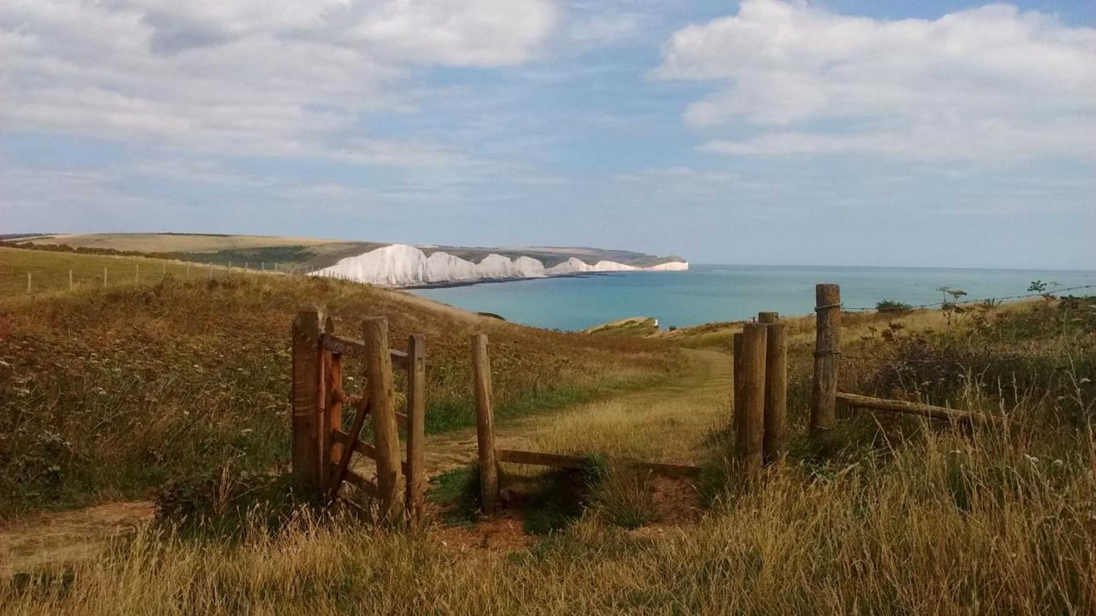 Gift card for Lamb's Knees