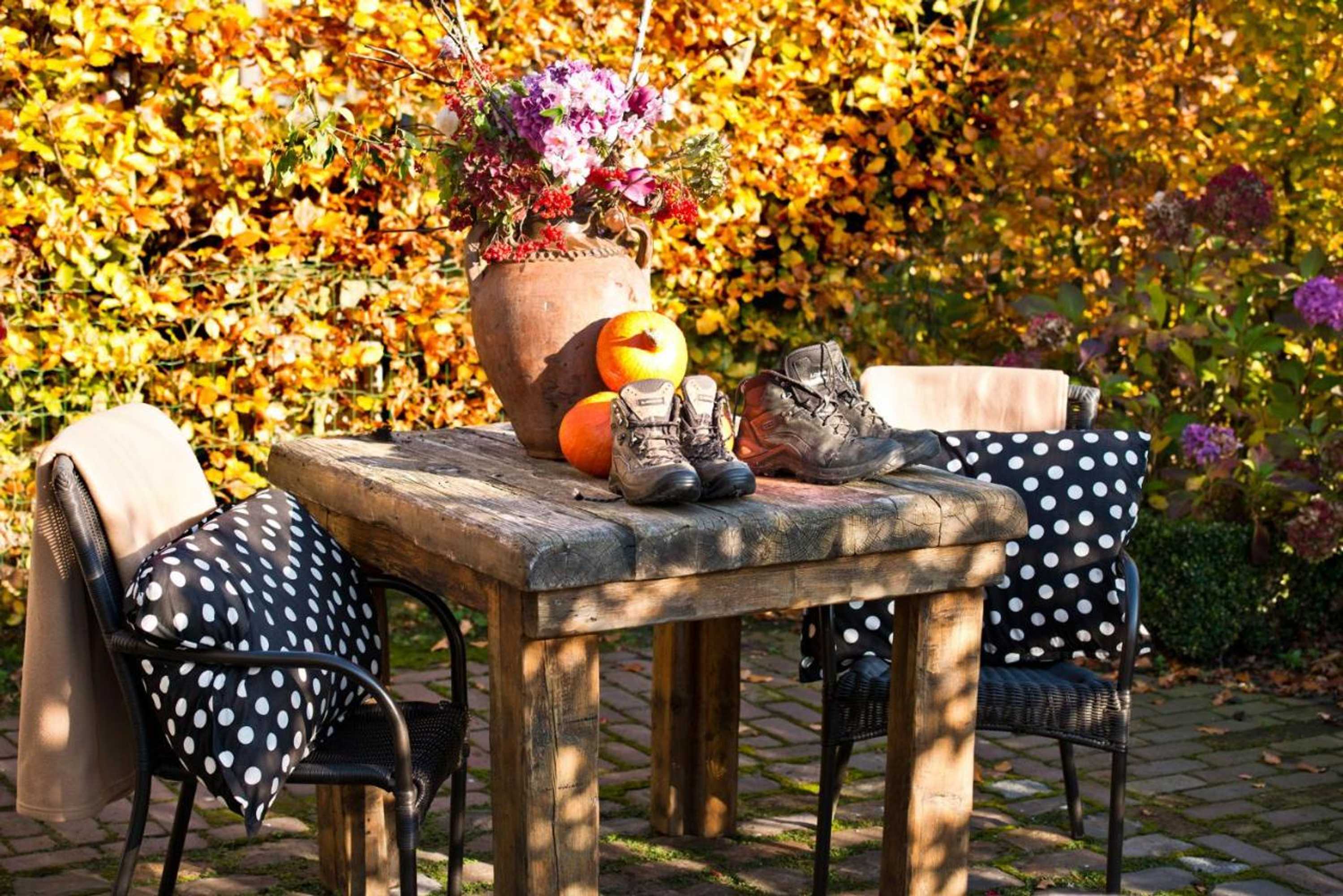 Gift card for B&b De Ouw Skuur