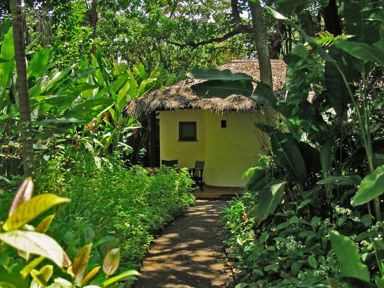 Gift card for Moivaro Coffee Plantation Lodge Gift card for Moivaro Coffee Plantation Lodge