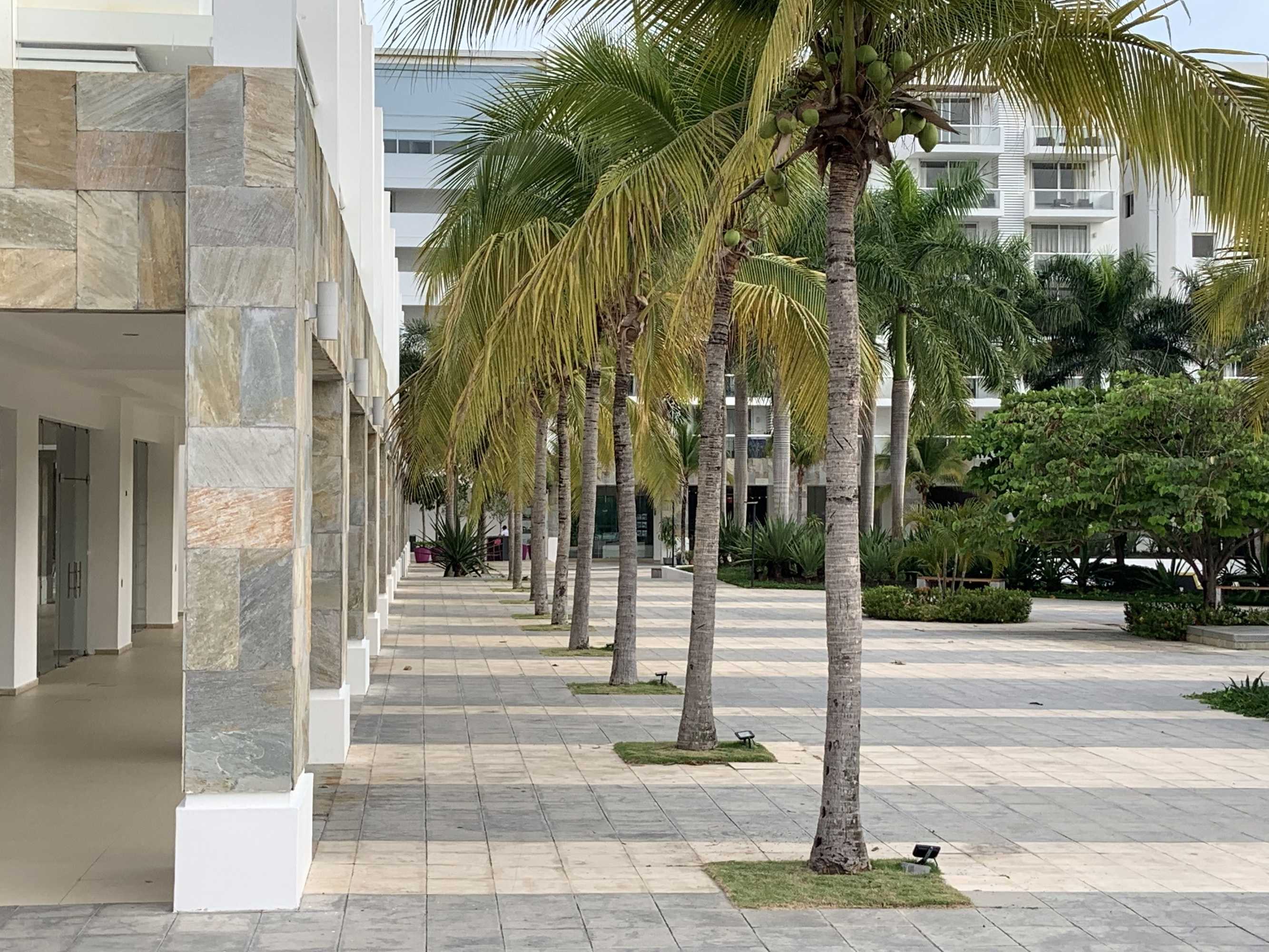 Gift card for Town Center Paradise in Playa Blanca Gift card for Town Center Paradise in Playa Blanca