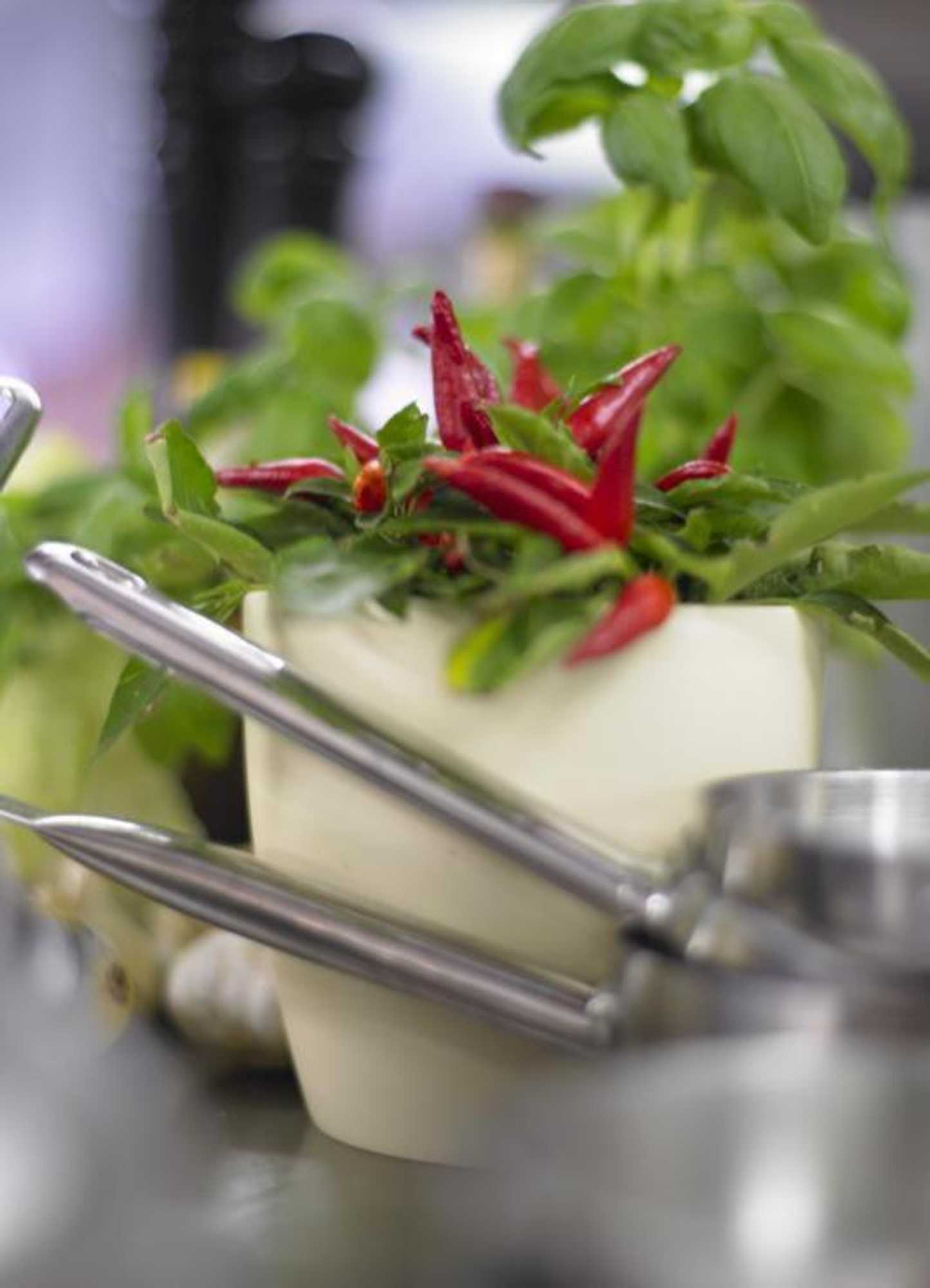 Gift card for Adler Hotel & Restaurant Groß-Gerau