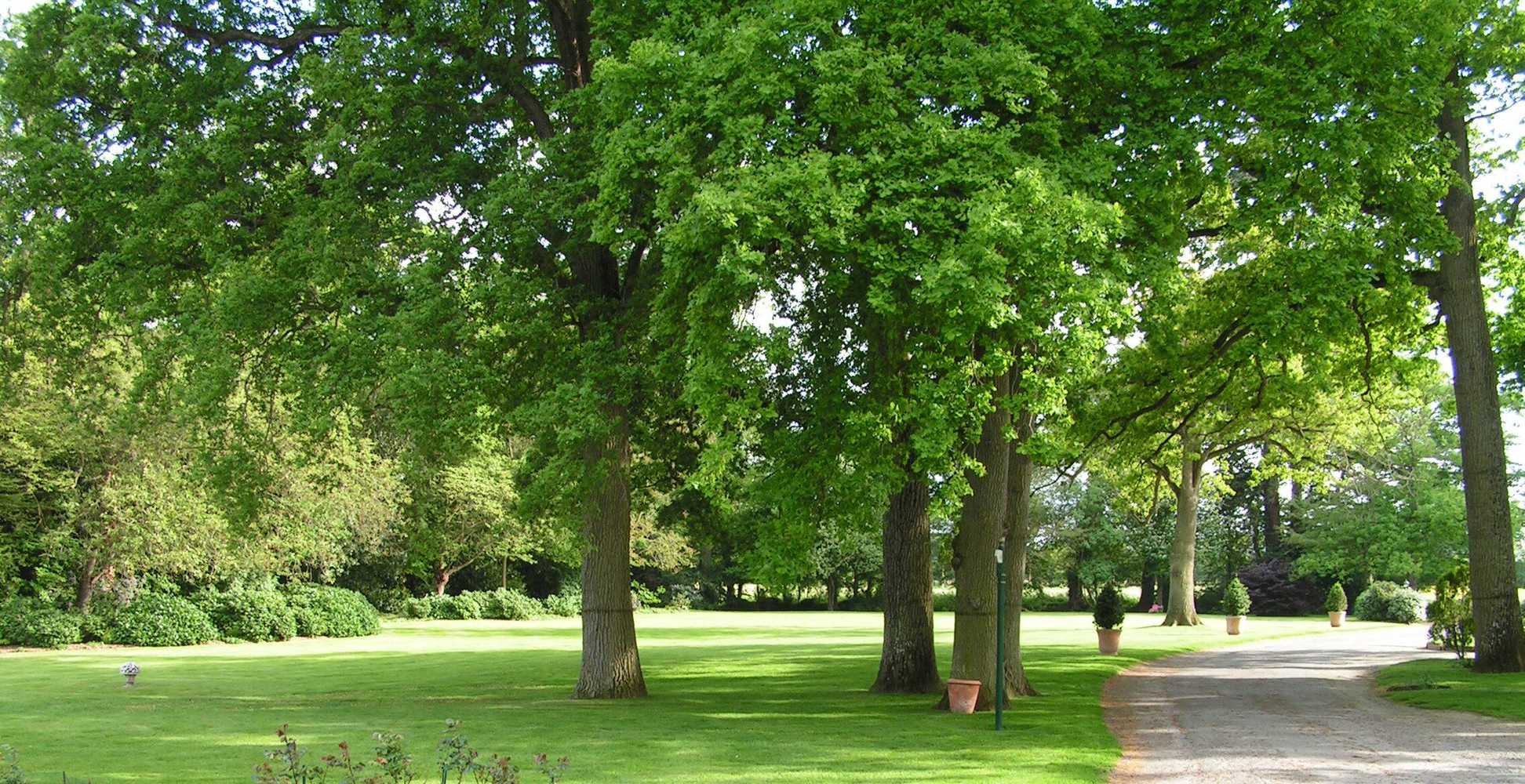 Gift card for Château D'apigné