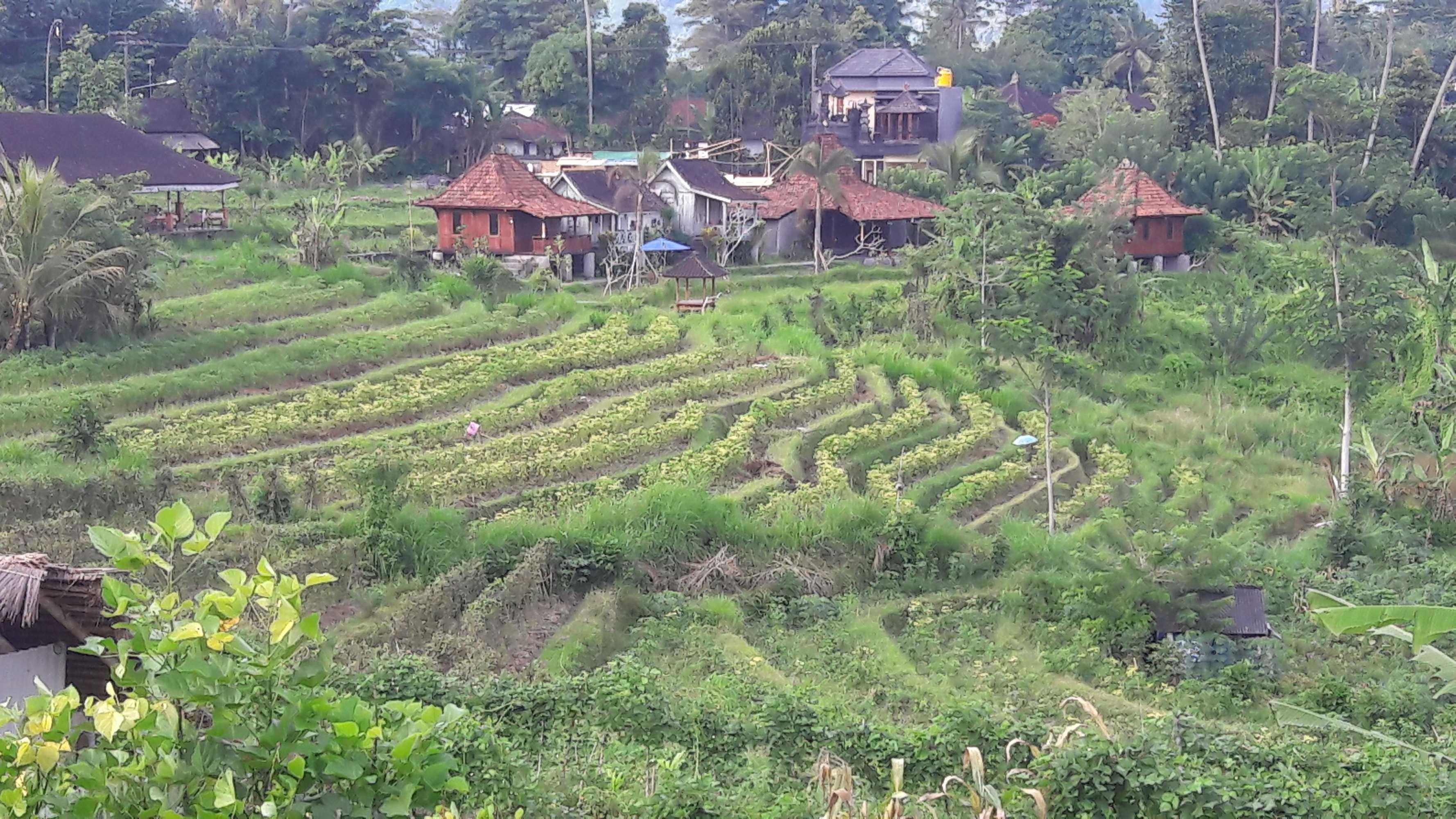 Gift card for Kubu Taru