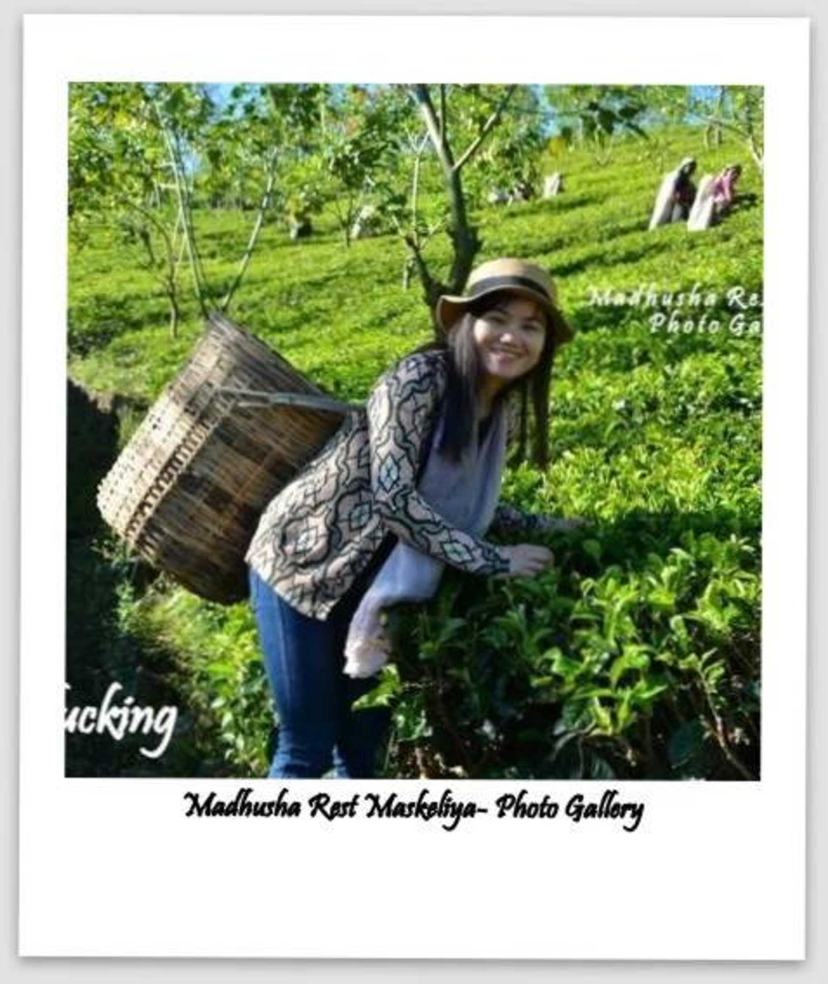 Gift card for Madhusha Rest