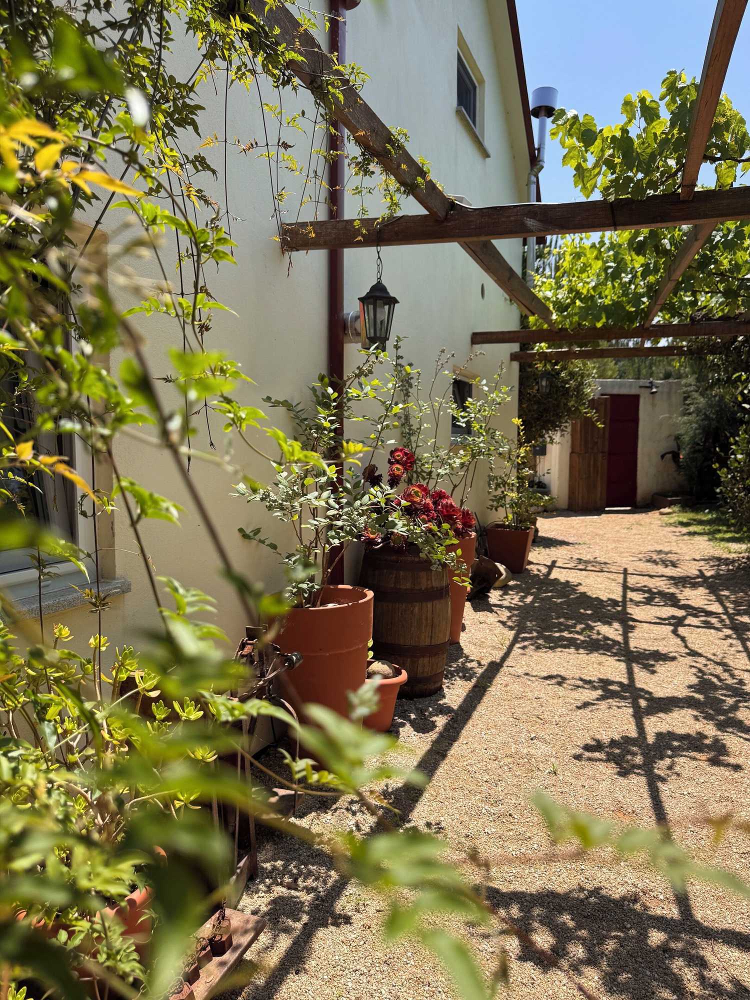 Gift card for Quinta Vale Salgueiro