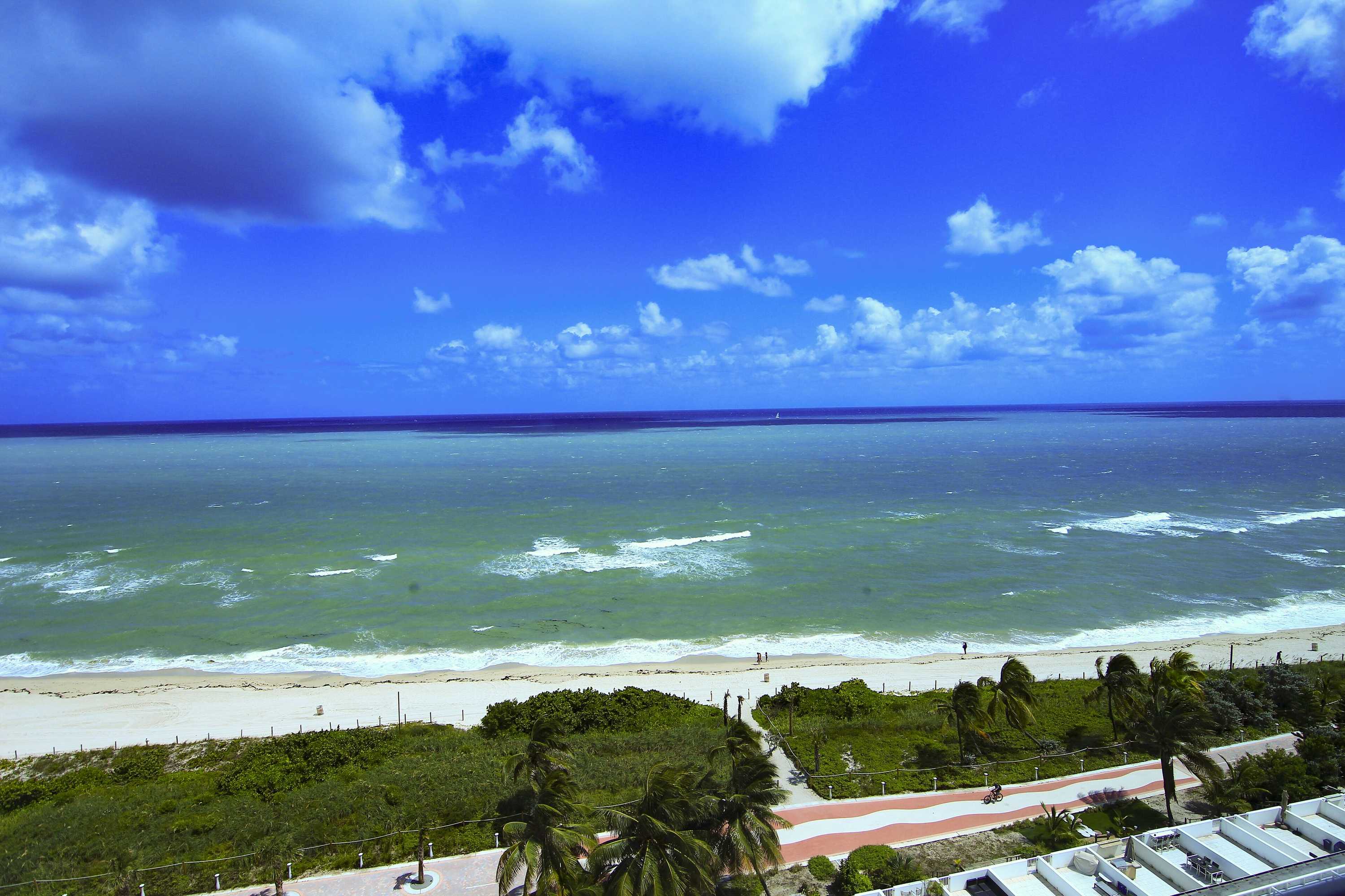 Gift card for Castle Beach Suites by Miarentals Gift card for Castle Beach Suites by Miarentals