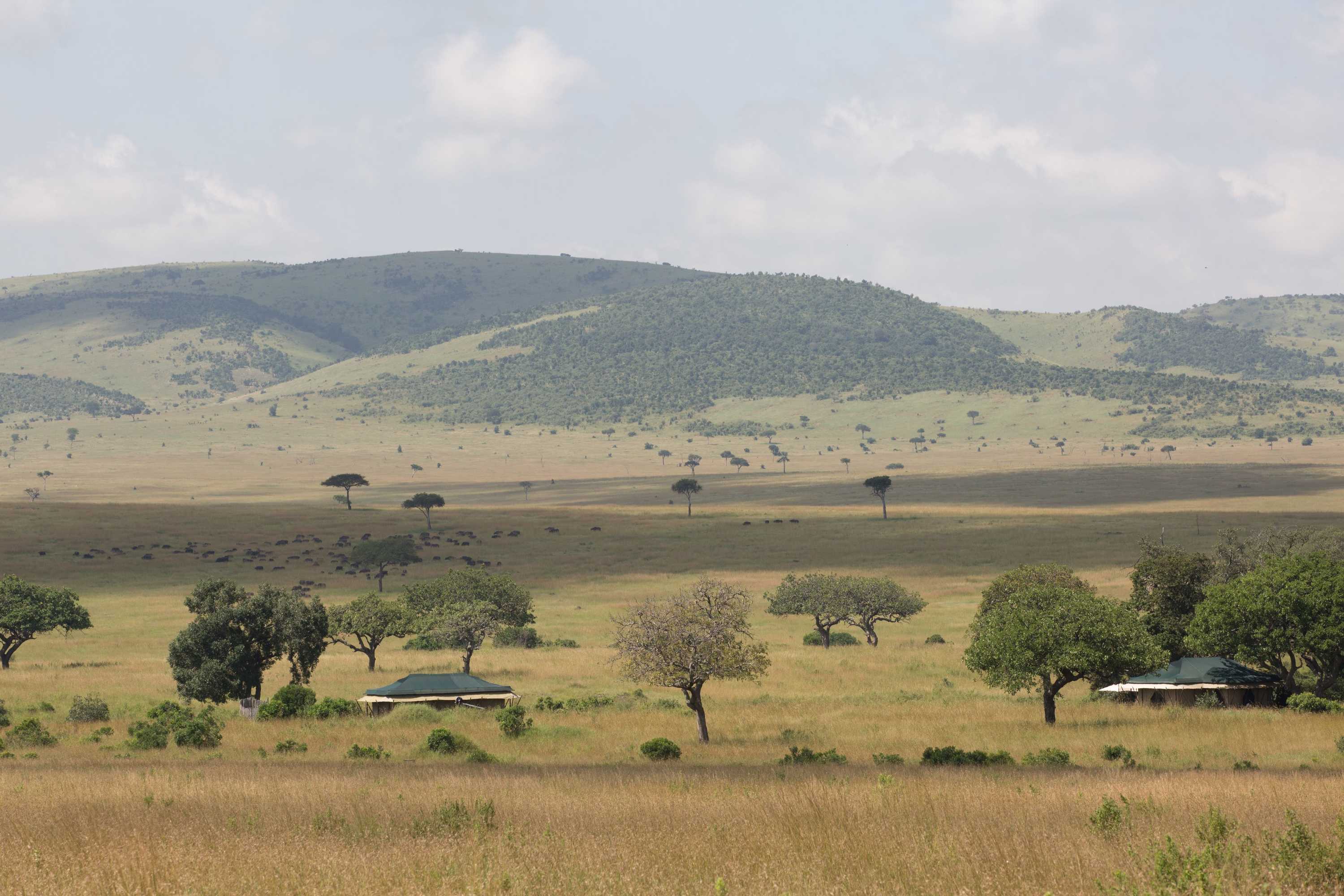 Gift card for Elewana Sand River Masai Mara Gift card for Elewana Sand River Masai Mara