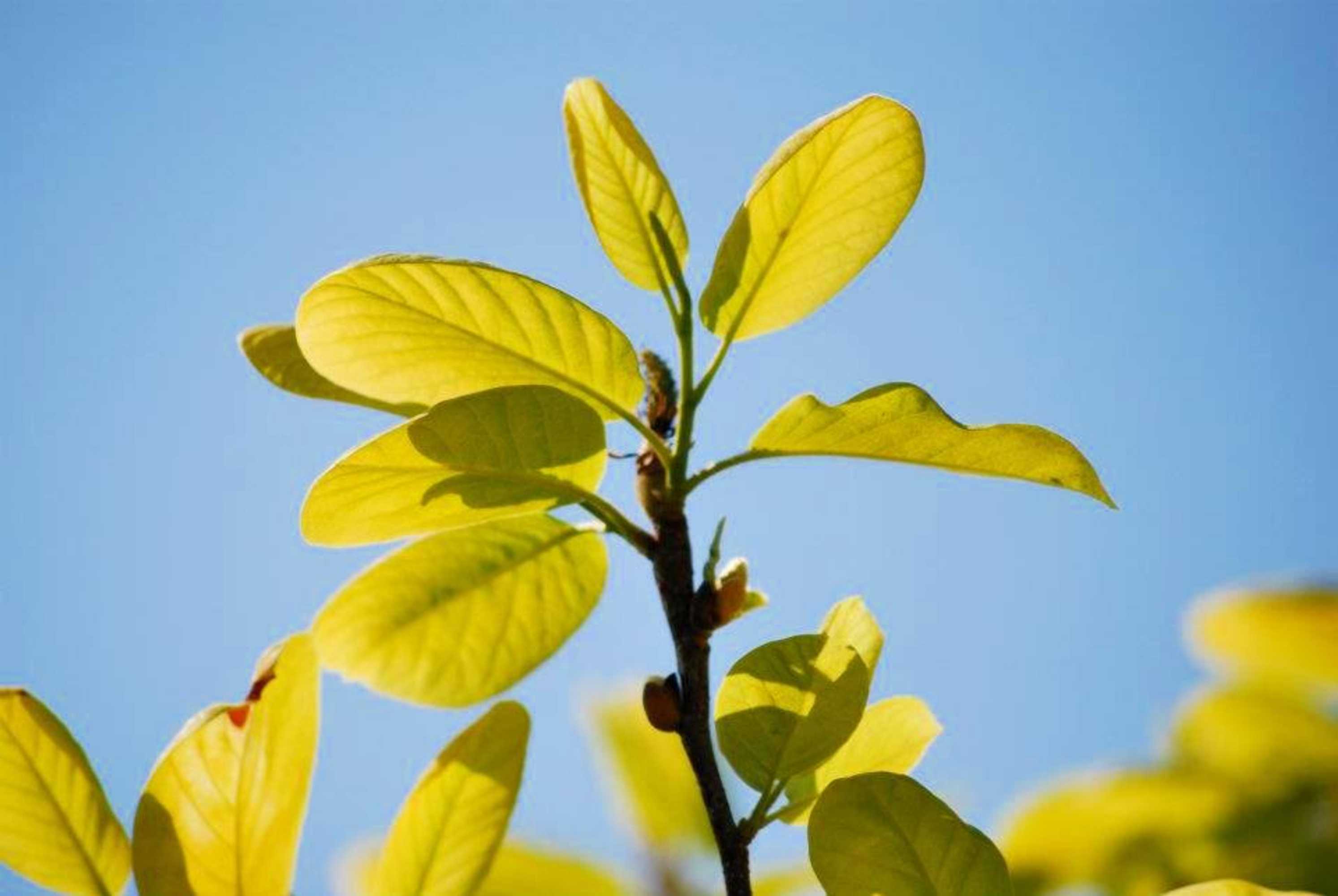 Gift card for Quinta de Valverde