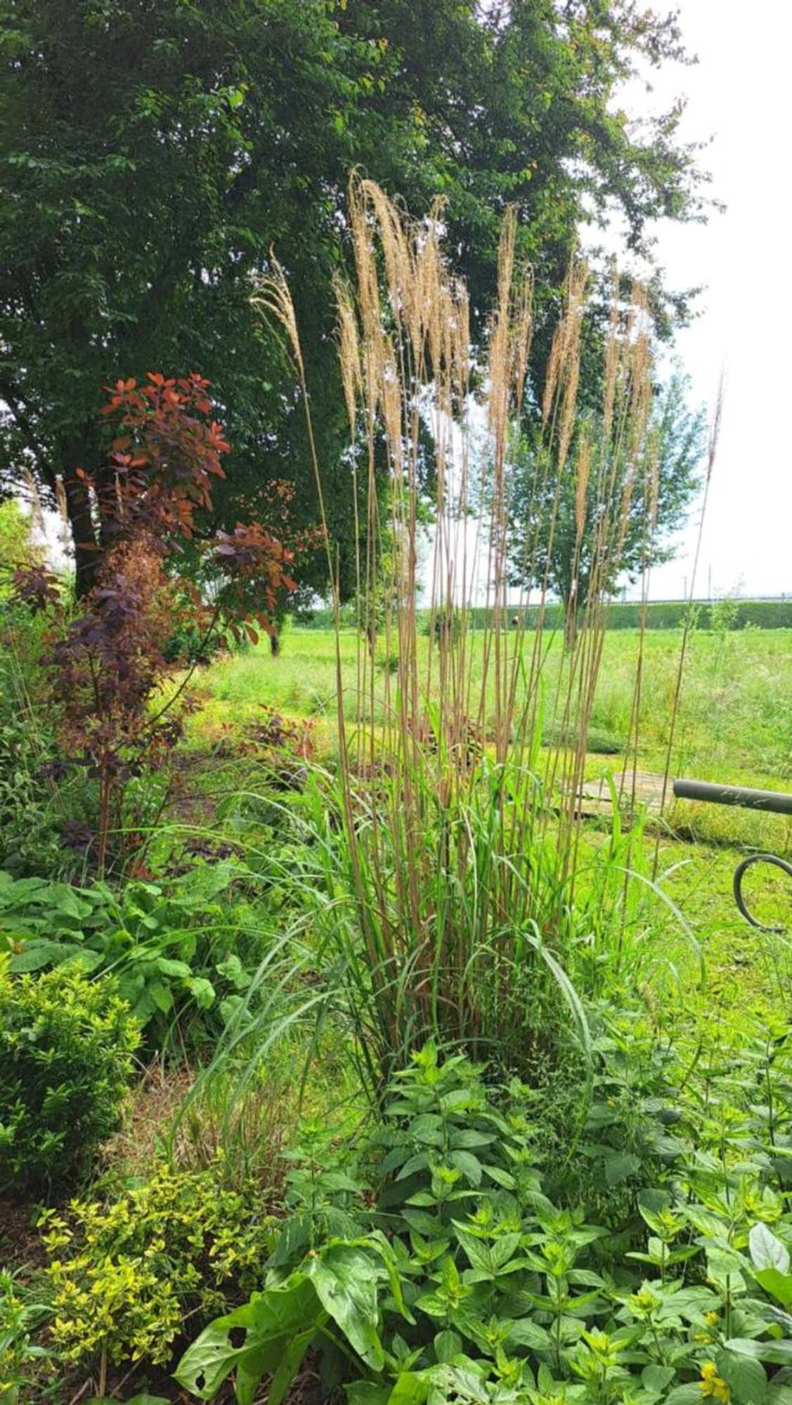 Gift card for De Gaanderij