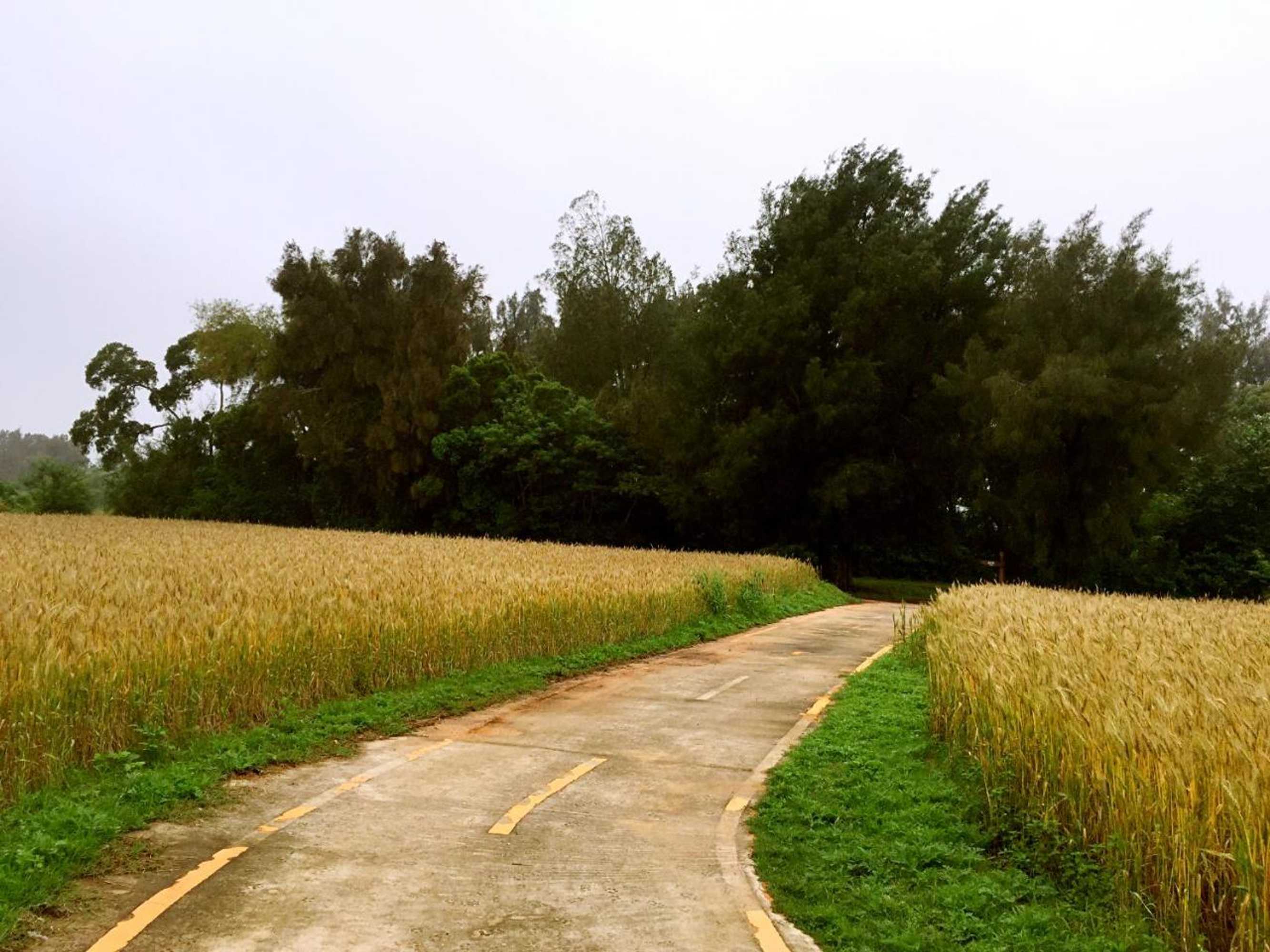 Gift card for Longkou Mysterious Resort