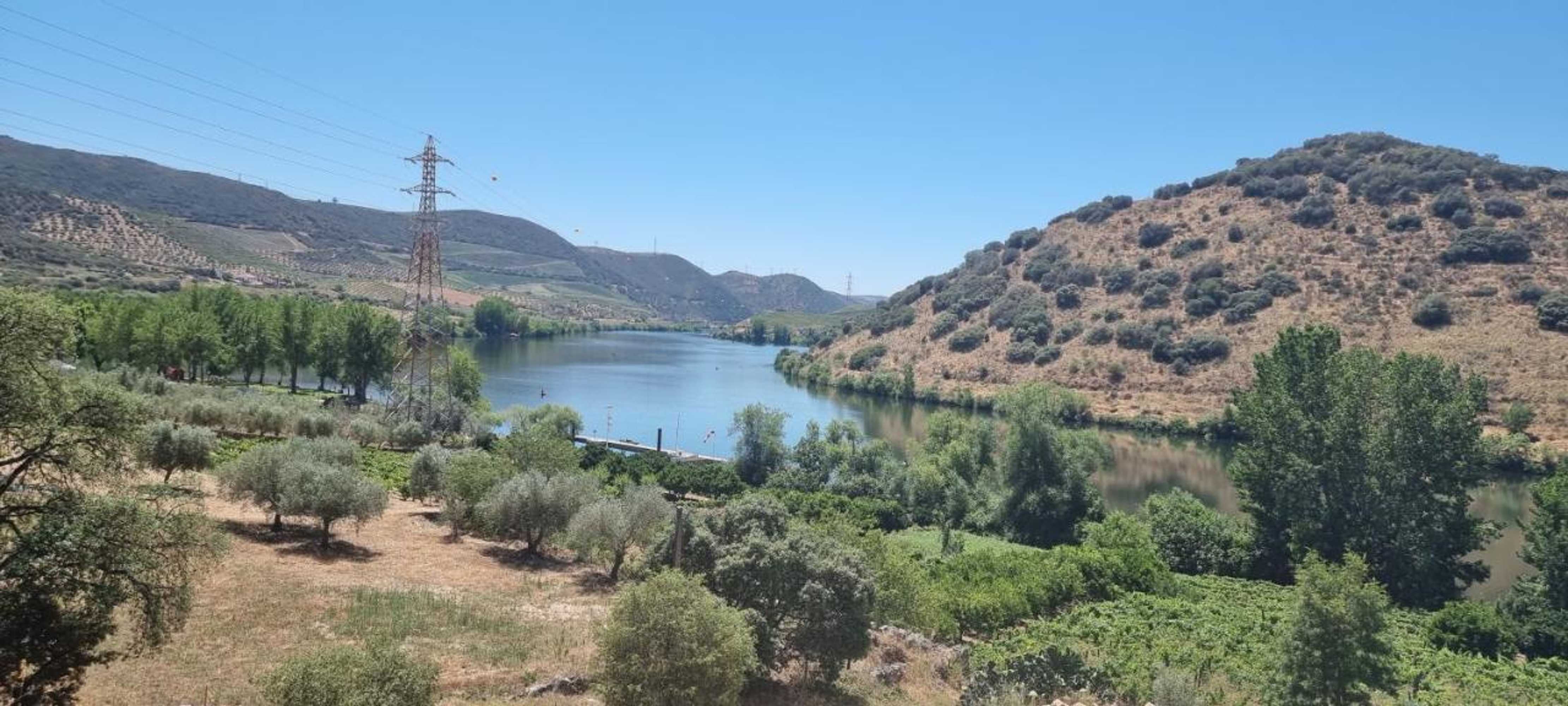 Gift card for Olhares do Douro